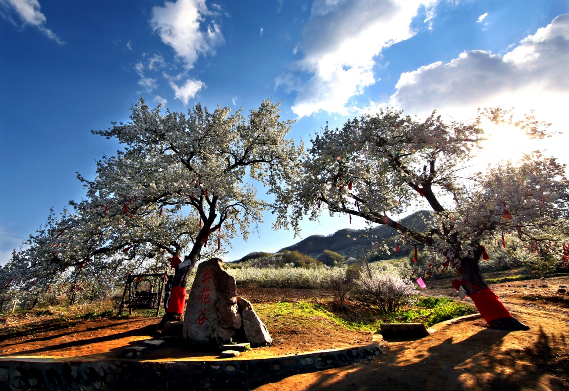 网红打卡地辽宁杠杠滴# 【石文梨花谷】#美好辽宁欢迎您##振兴新突破