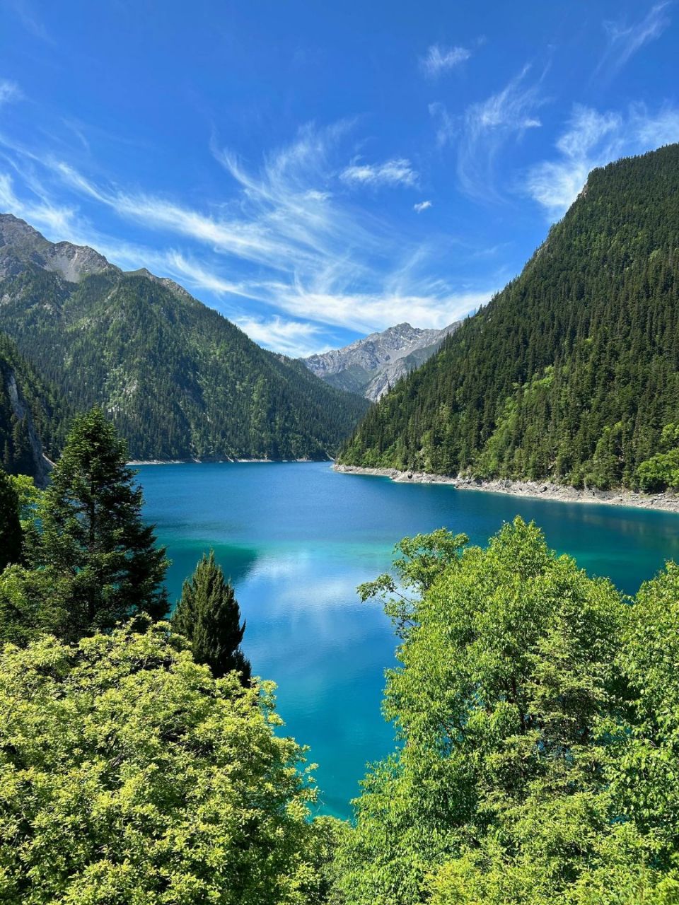 有一种美叫九寨沟的夏天,好想去啊!