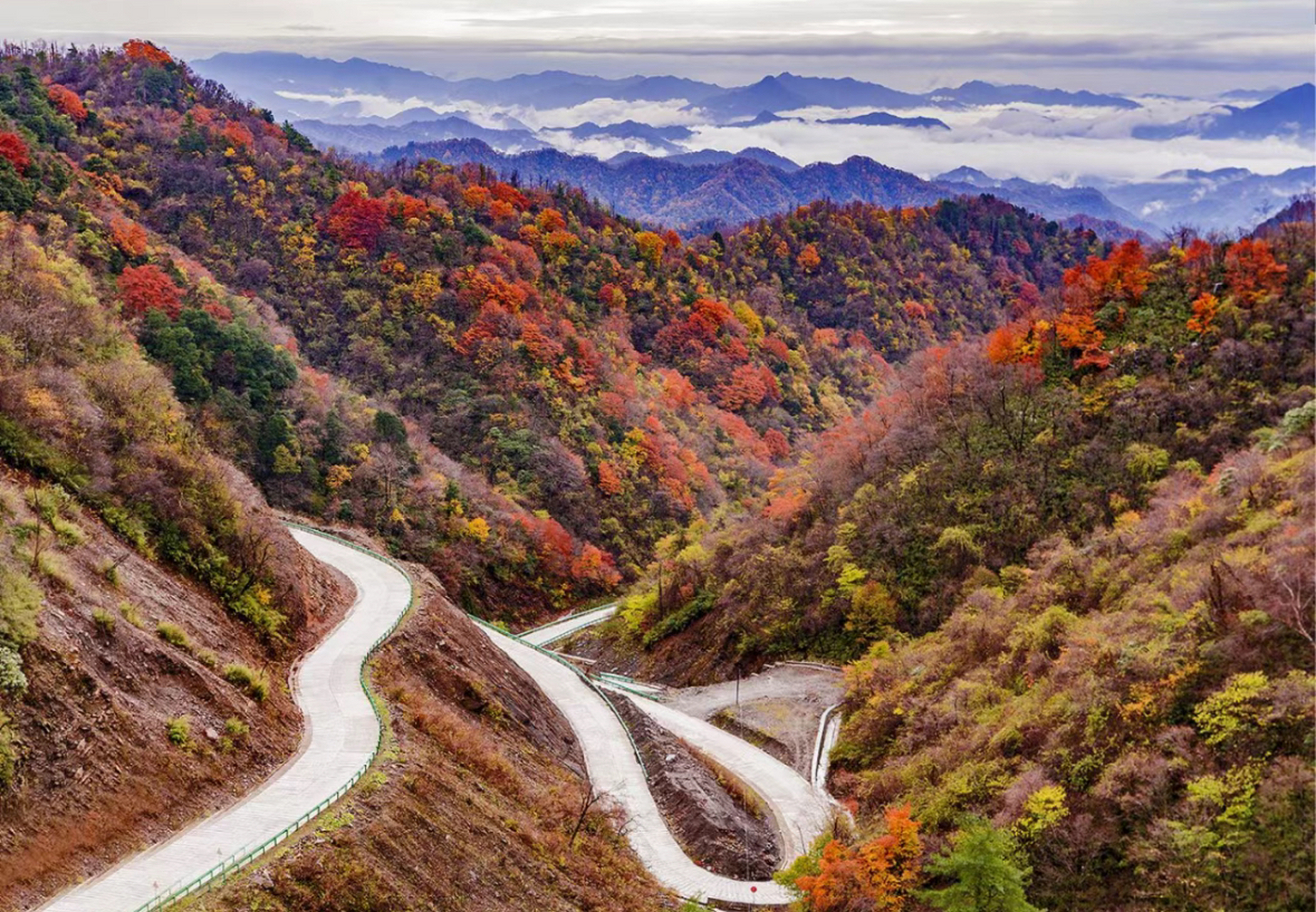 秋季里站在秦岭太子岭之巅,抬眼远眺前方群山连绵,让人不由得感慨一句