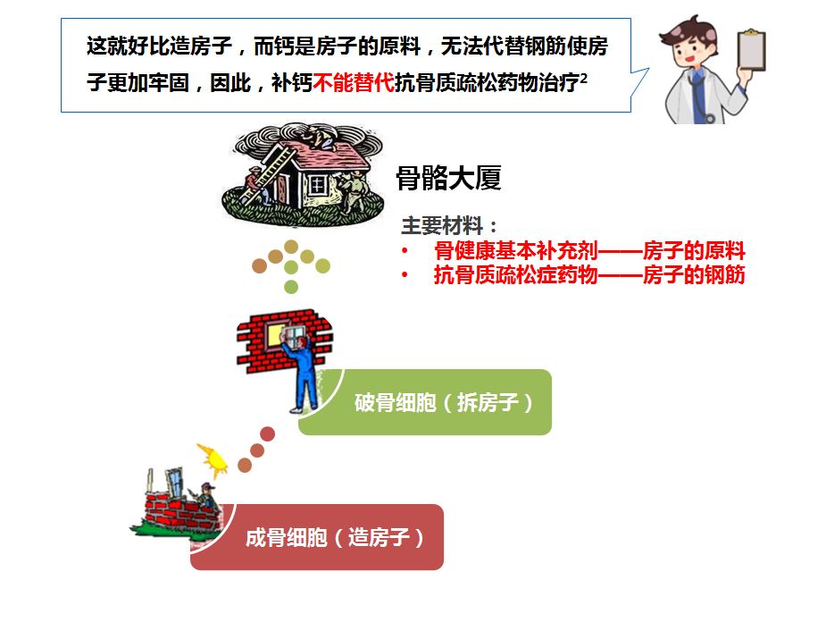 骨质疏松"金字塔"治疗