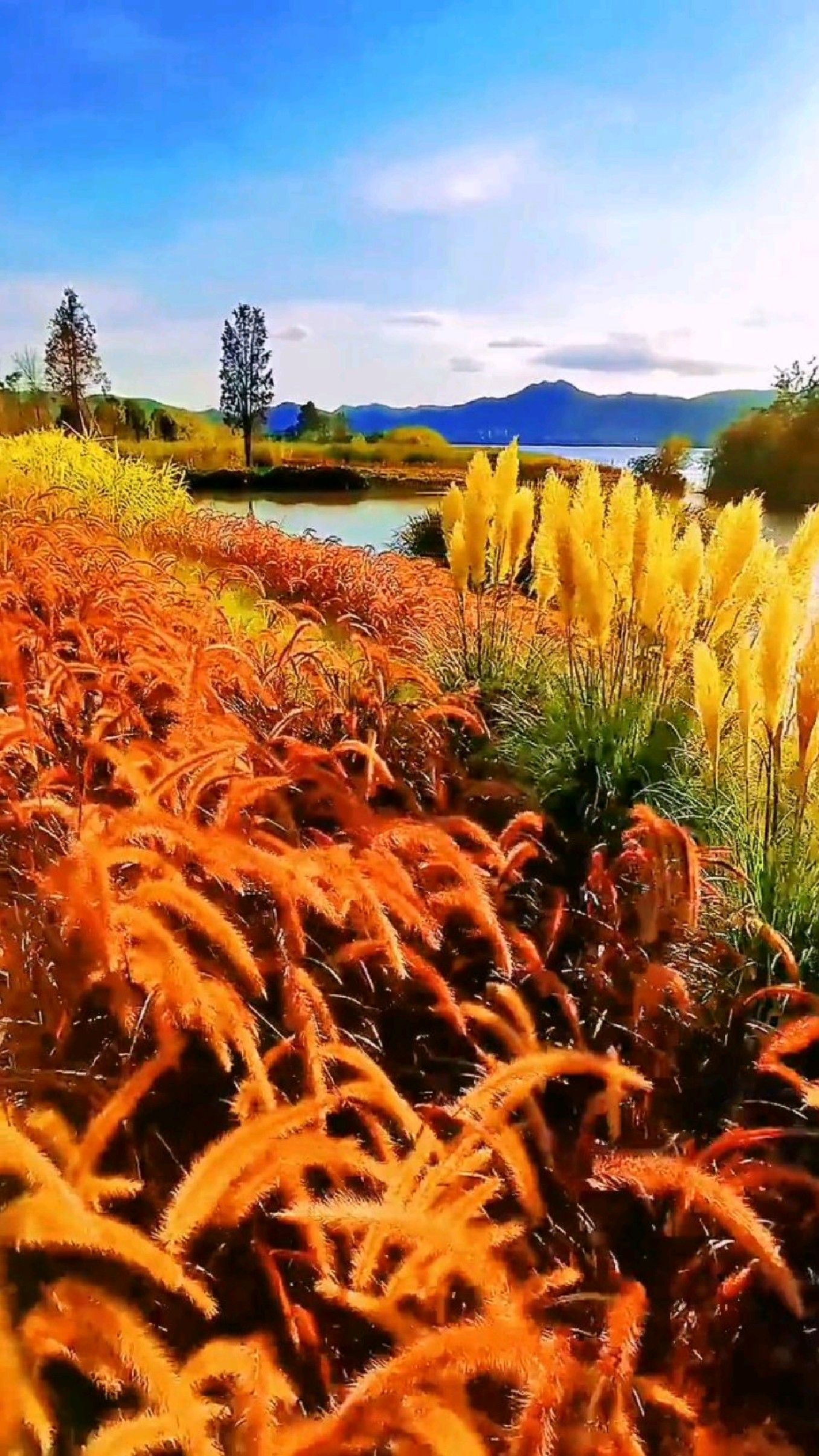 昆明草海隧道公园美丽风景令人心旷神怡