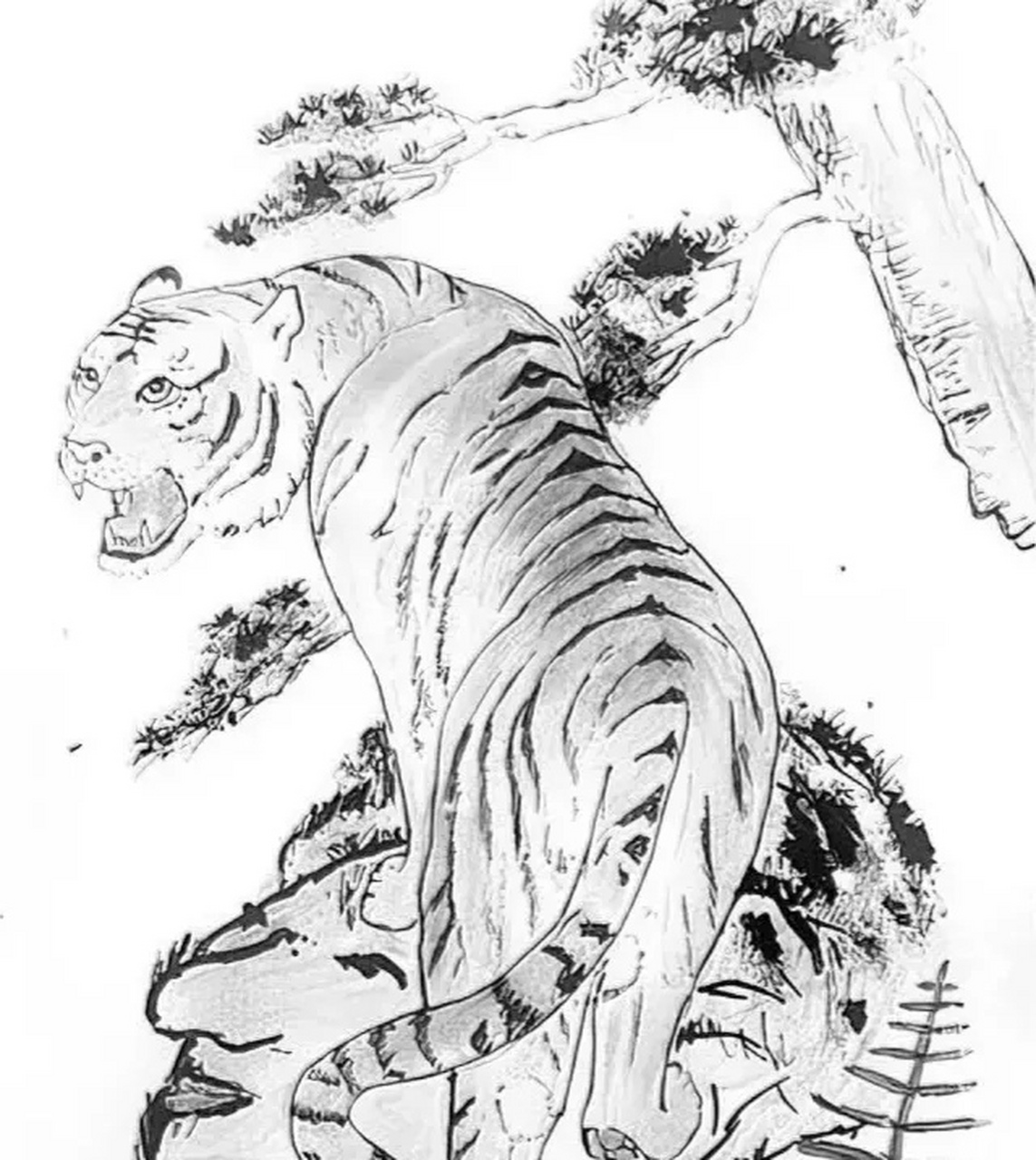 心理测试:图中乍看只有一只老虎.实际上藏有几张人脸?