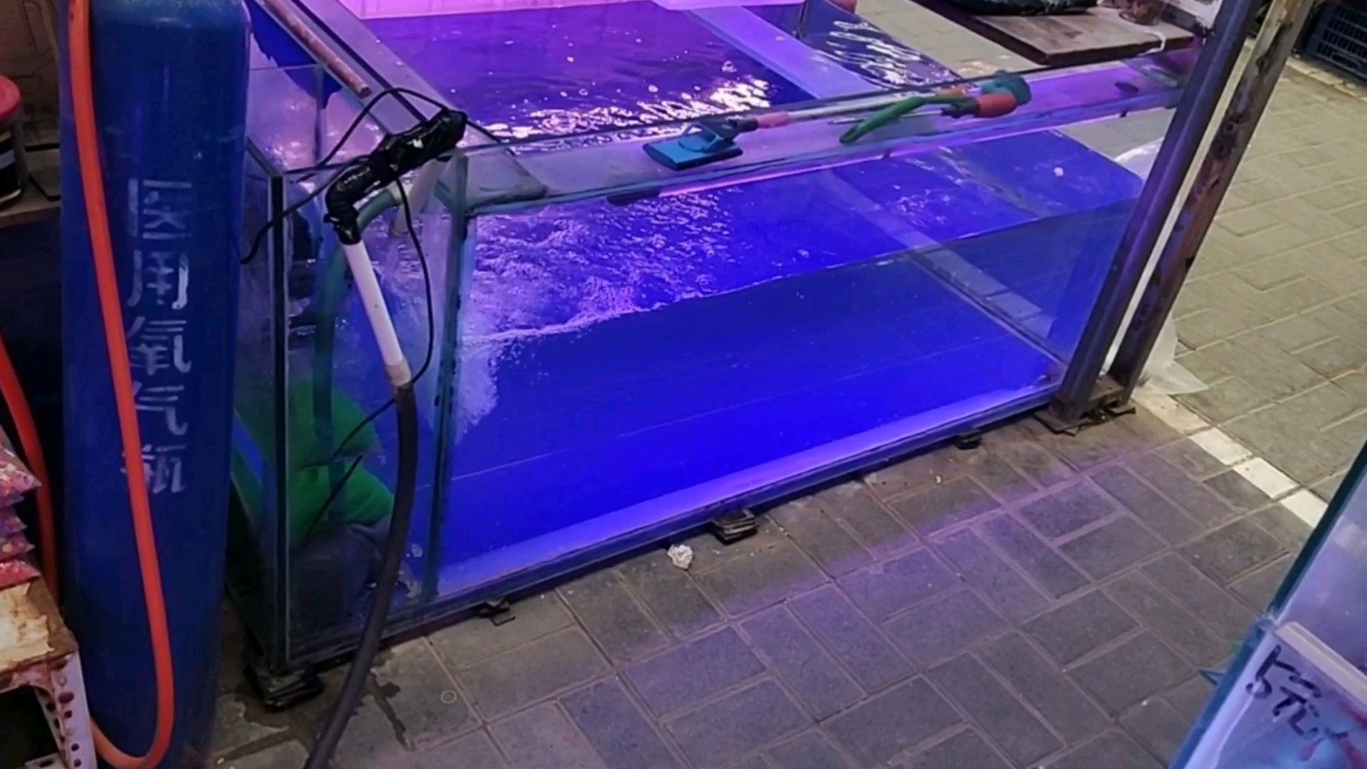看看我的过滤效果怎么样。看看我的潜水泵强不强!已经用了五六年