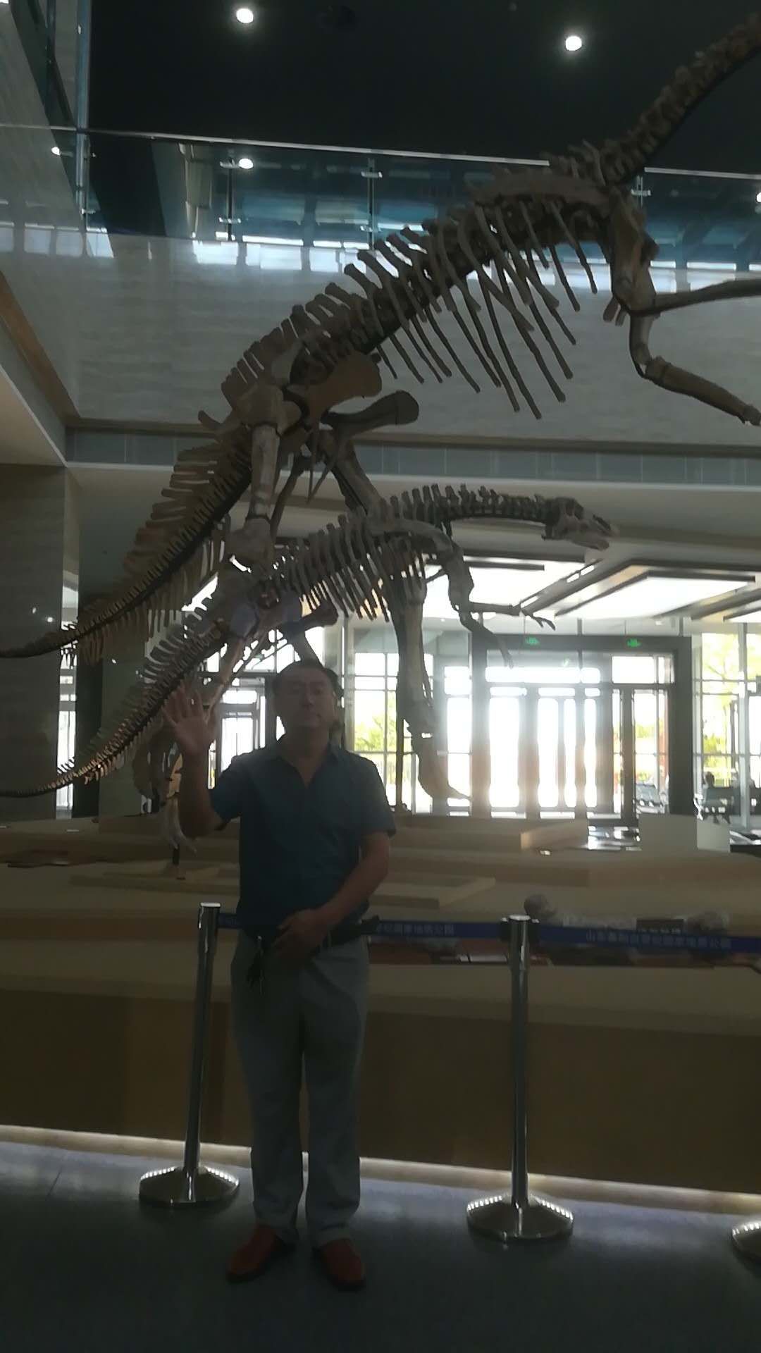 莱阳恐龙博物馆观后感图片