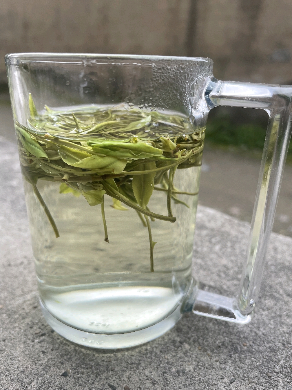 雨前口粮高山白茶