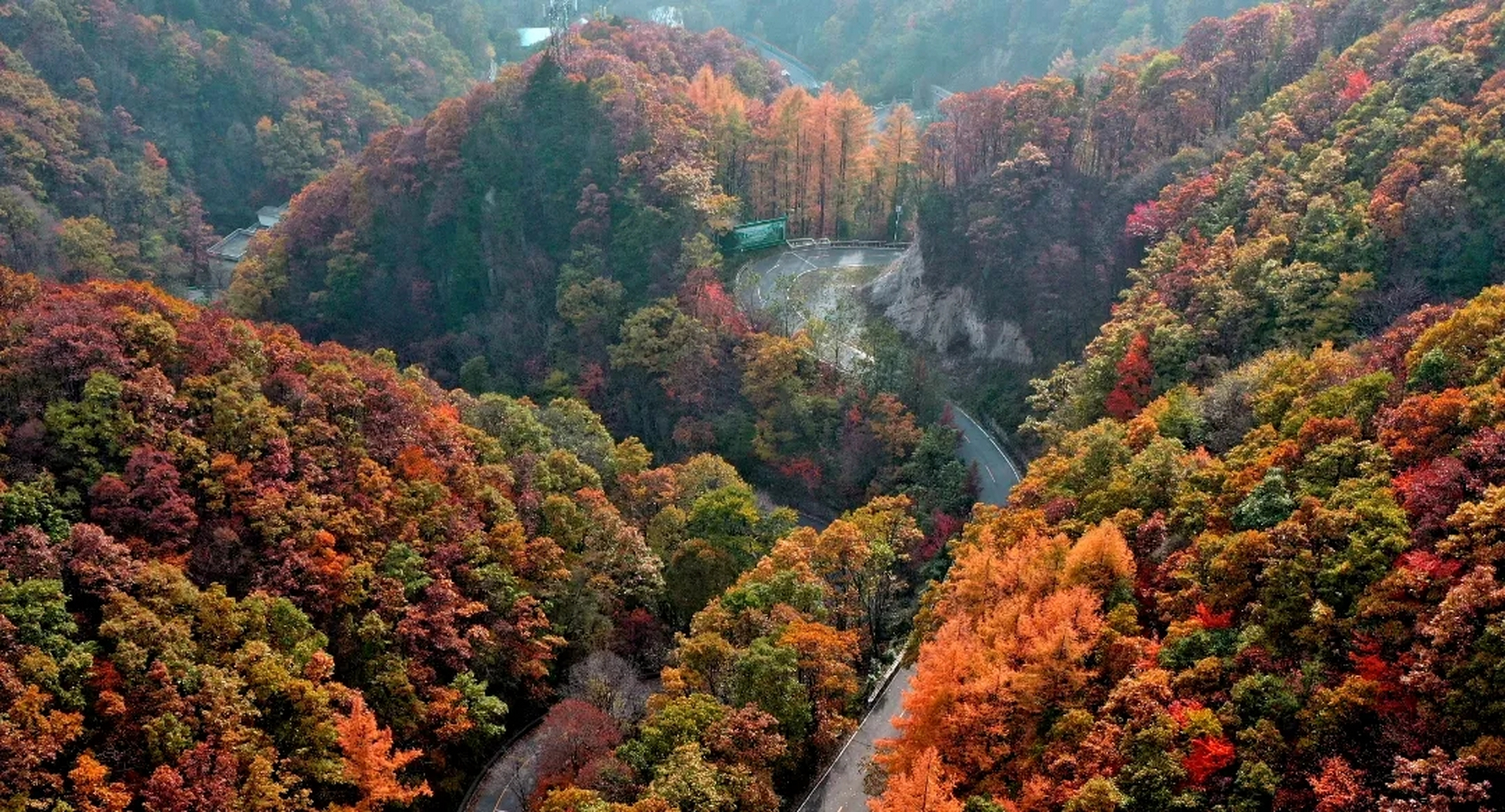 出发国庆中秋假# 时节渐寒,秋意愈浓,河南西峡老界岭的山林将迎来