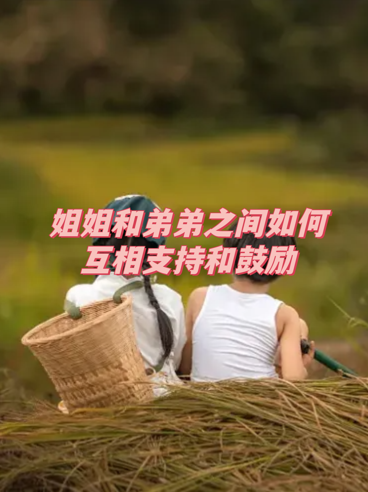 姐弟的关系是什么关系