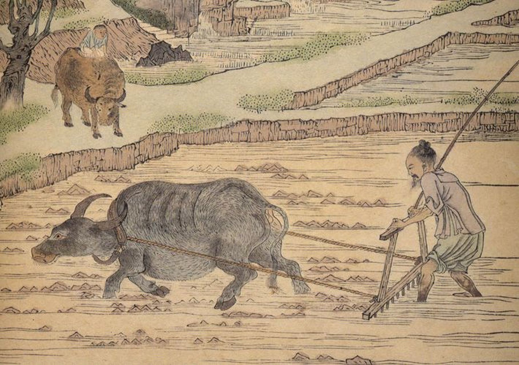 《诗经·小雅·信南山》: "信彼南山,维禹甸之.畇畇原隰,曾孙田之.