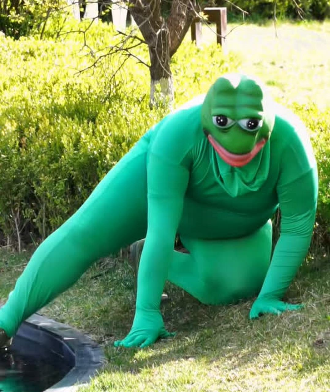 这是绿巨人还是变异超人青蛙?[鄙视]