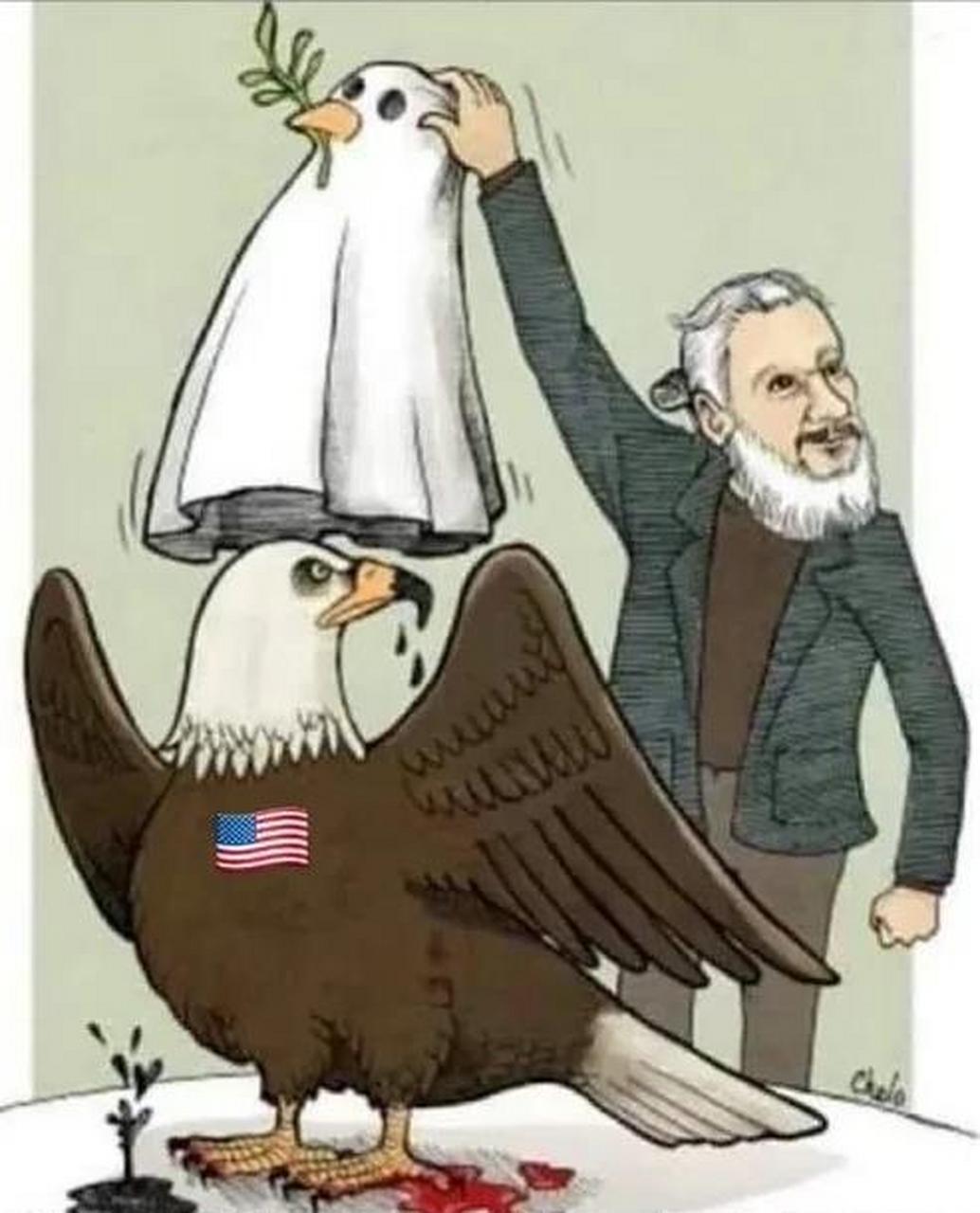 外交部发言人赵立坚转发一张漫画《揭露谎言和战争罪行》,网友评论这