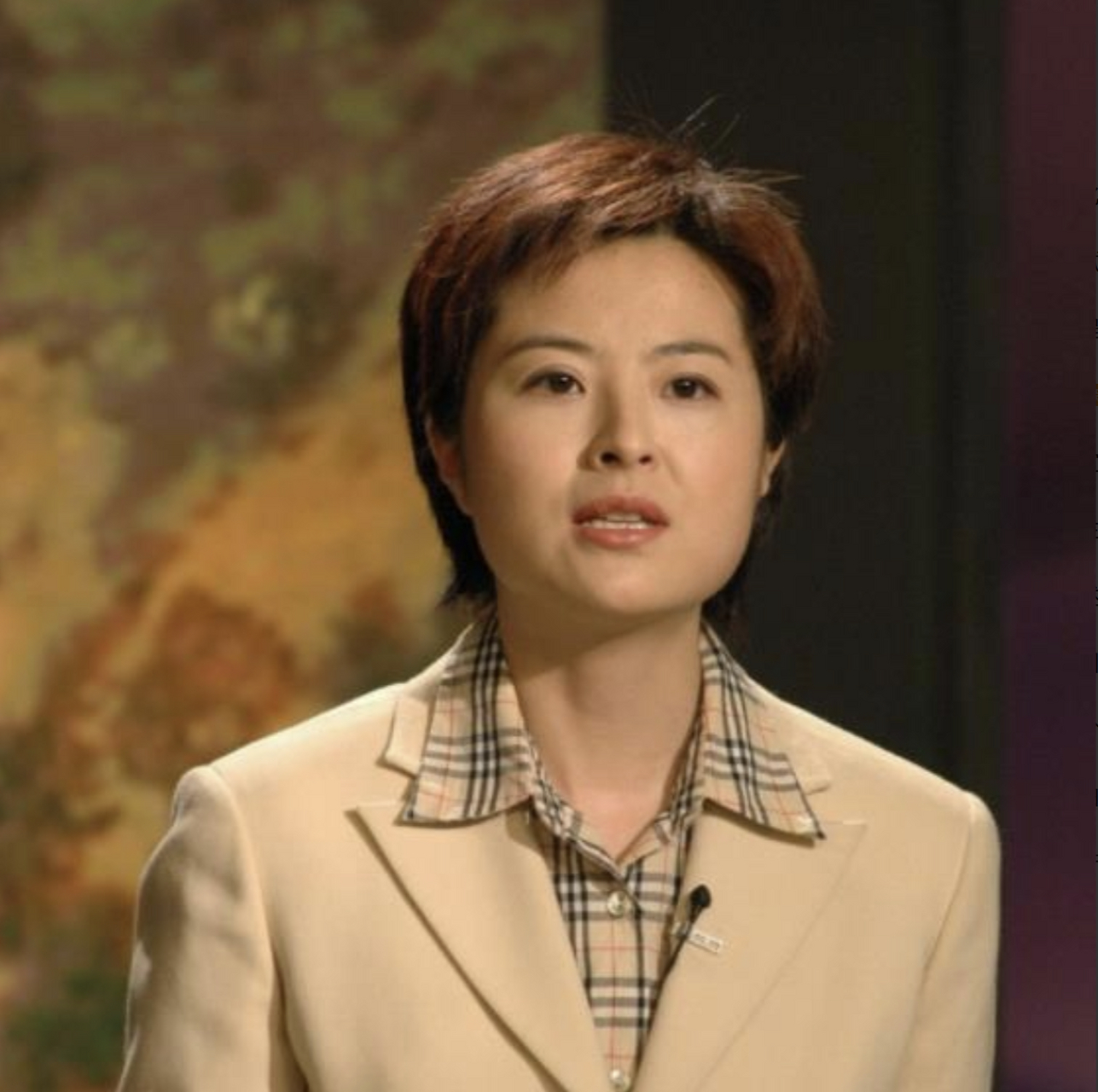 在 2002 年的某个时刻,张泉灵,这位我国的央视记者,身处战火纷飞的