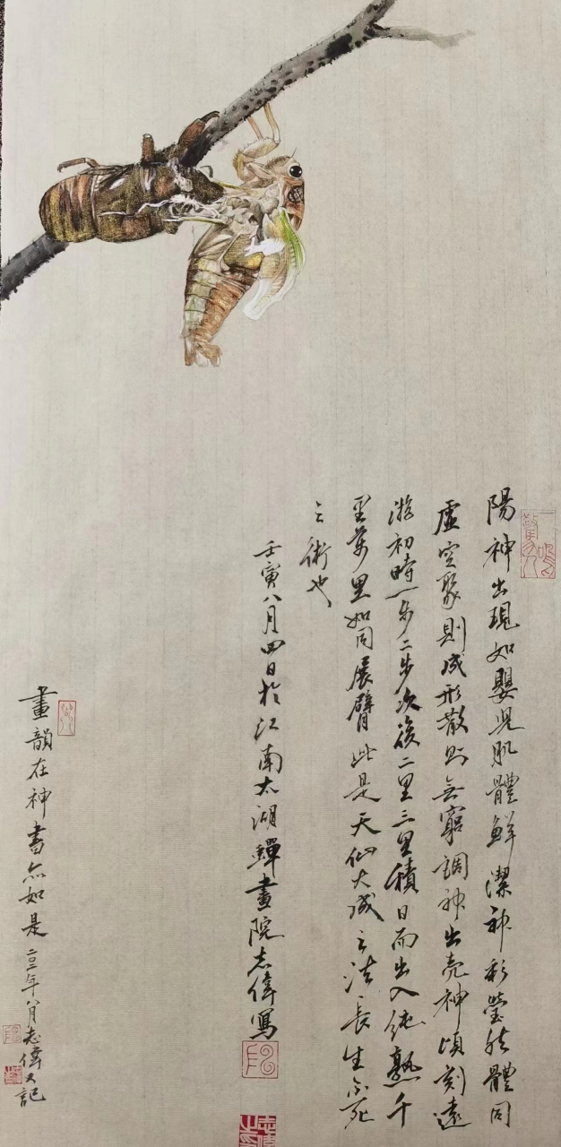 陈志伟--"江南画蝉人" 中国草书研究院苏州分院院长 中国书法家协会