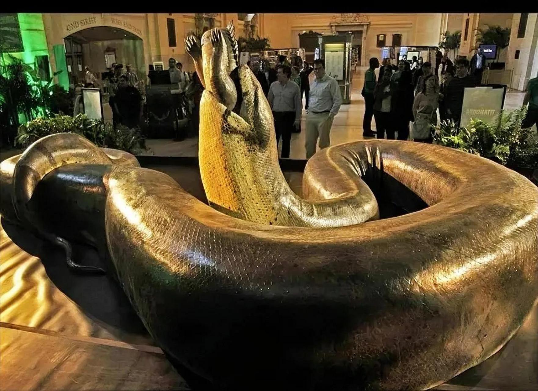 8米,重量则达到了惊人的1135公斤.