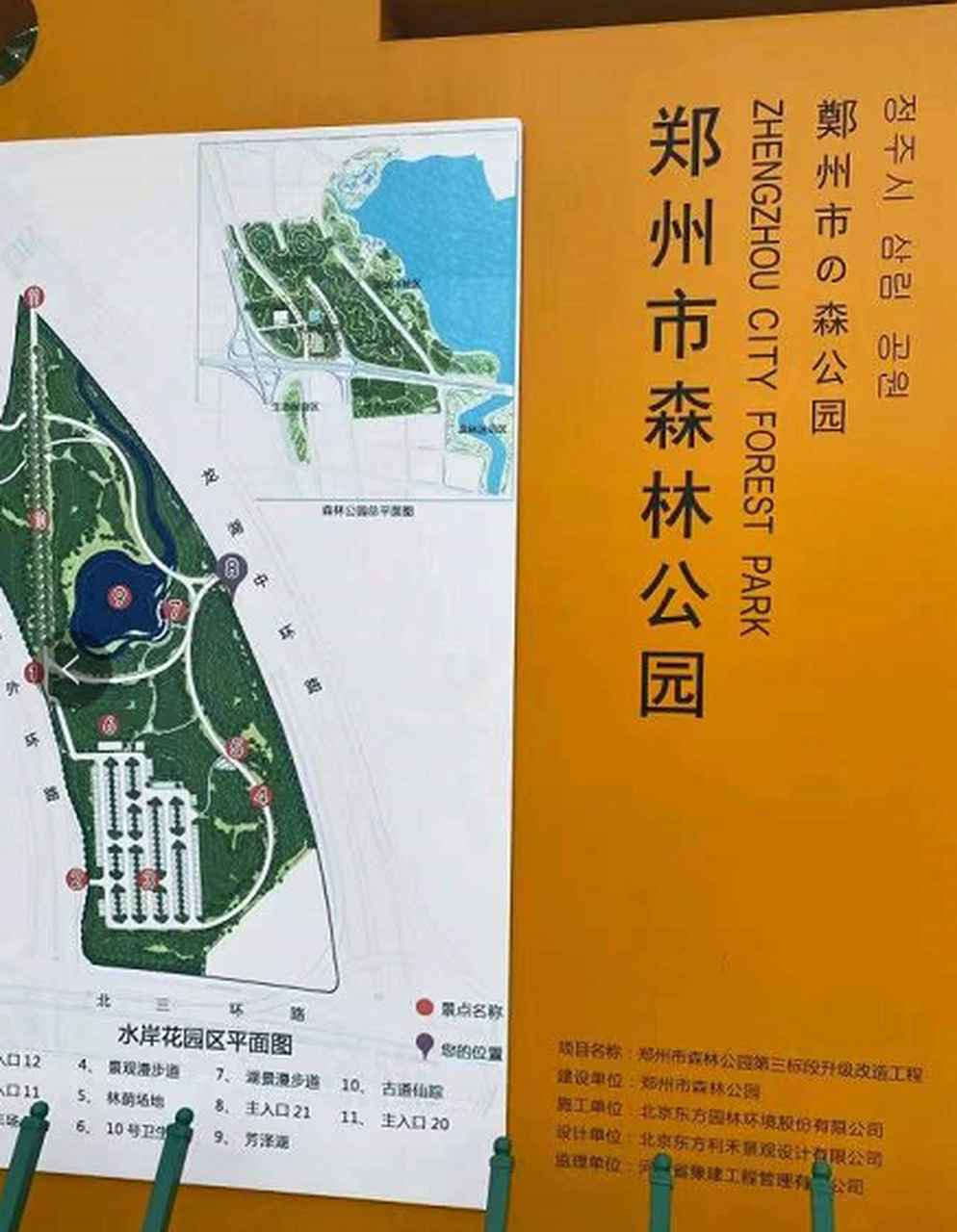 郑州市森林公园位于郑州市东北角,偶然一次发现了这个宝地,一进门草坪