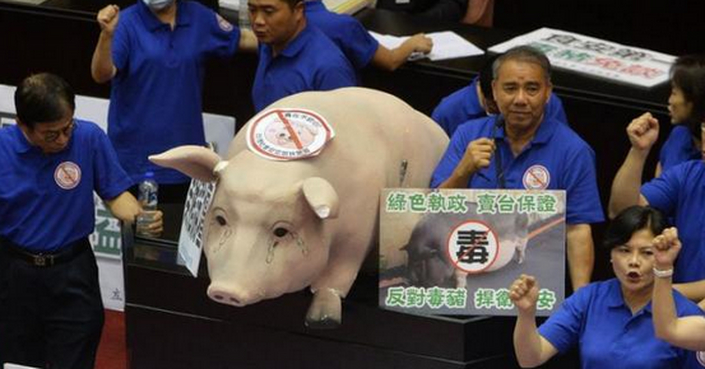 【开放含瘦肉精的美猪进口,影响台湾肉制品出口大陆】台湾执政当局8