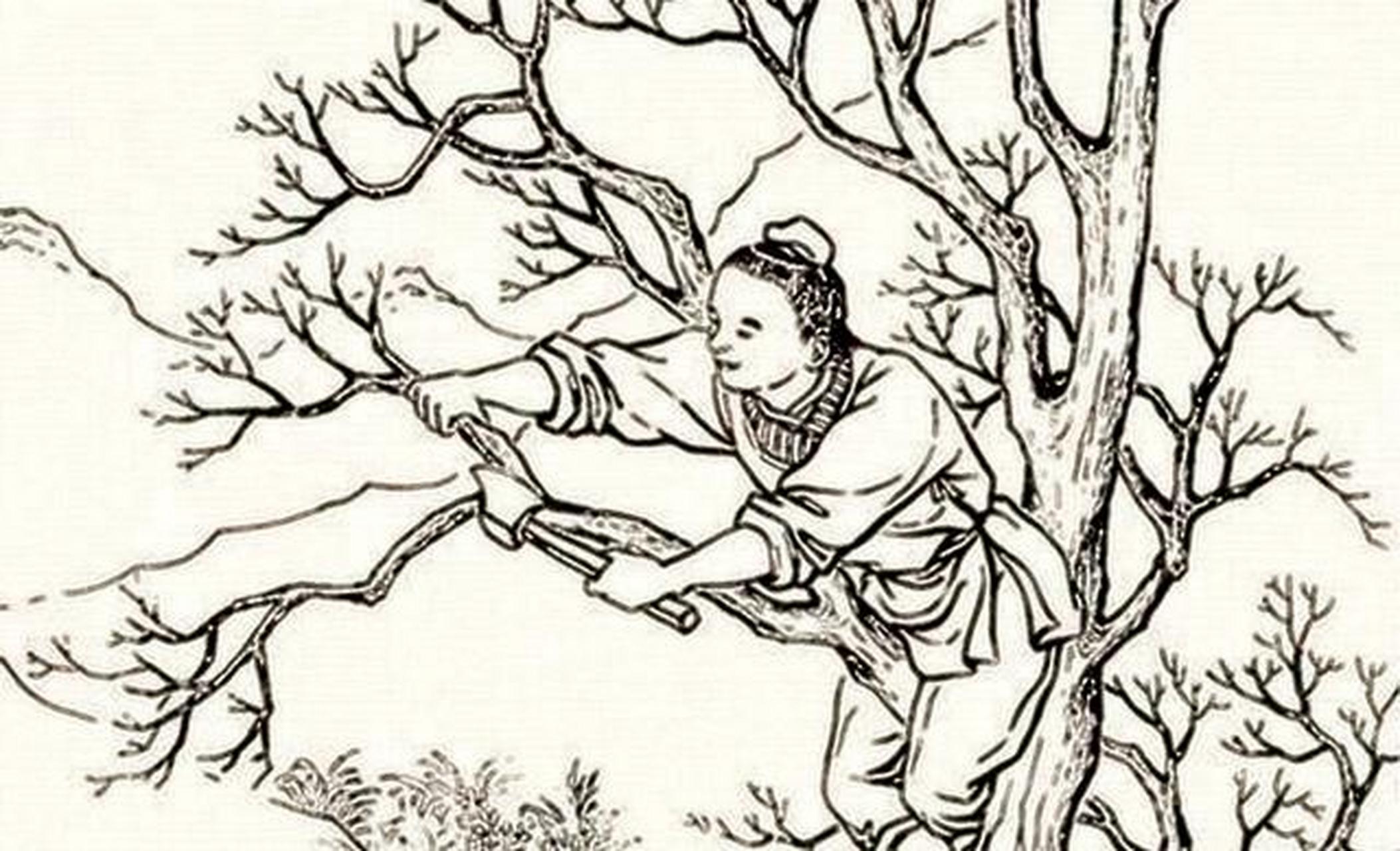 民间故事:樵夫上山砍柴,见老妪受伤帮其医治,老妪:小心你弟弟 唐朝,豫