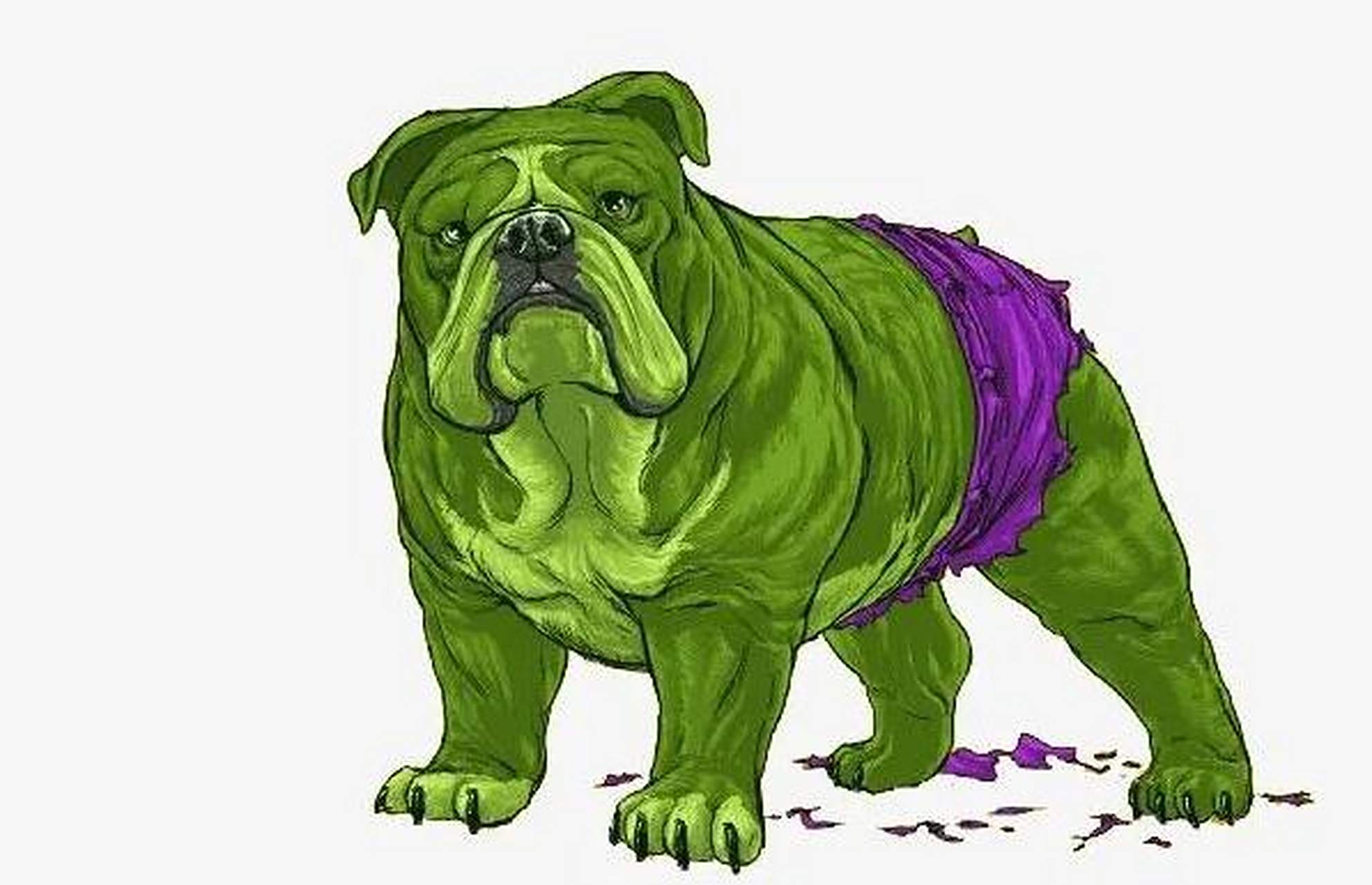 "主人,能把我的衣服做得稍大点吗?"[三哈]藏獒问.