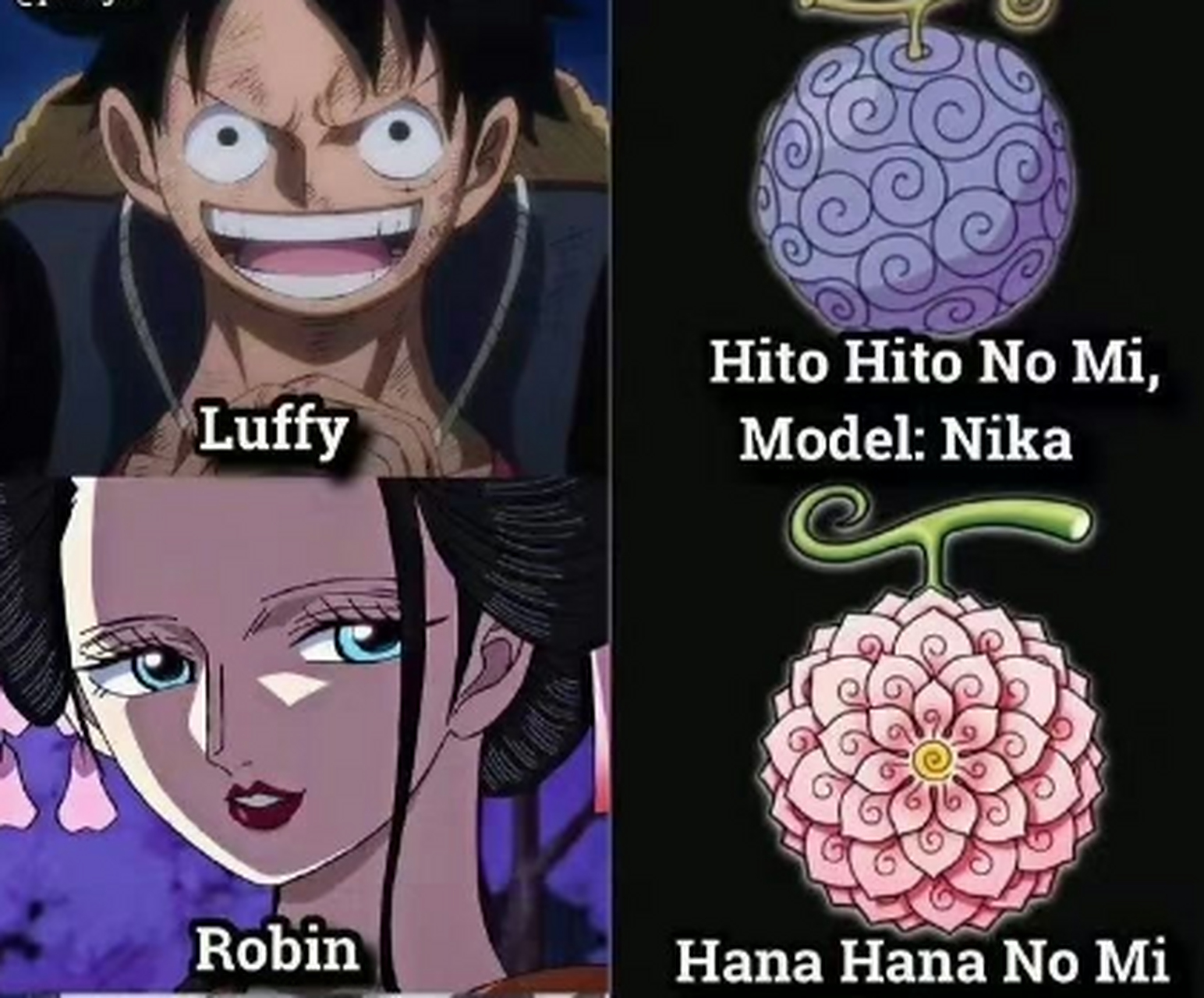 恶魔果实图鉴 罗宾的恶魔果实堪称绝美 大和多少就有点潦草了[笑哭]