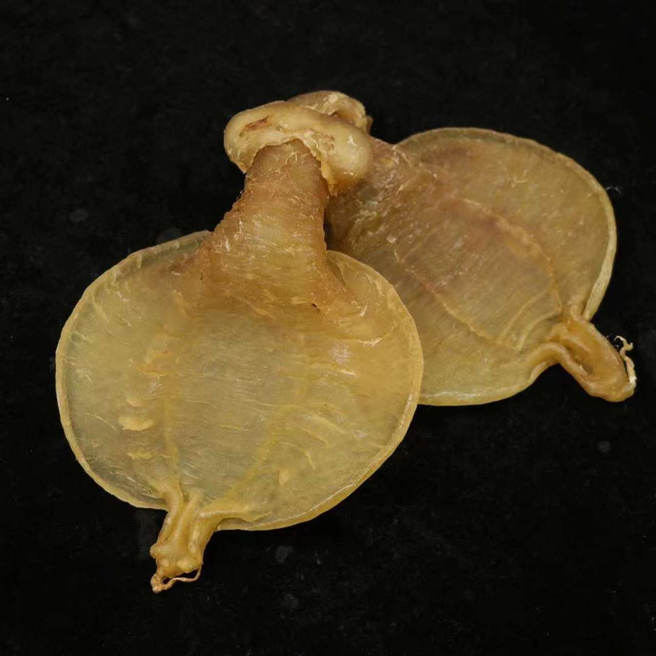 赤嘴鳘是一种珍贵的深海鱼类,它们生活在从未受到污染的深水海洋中