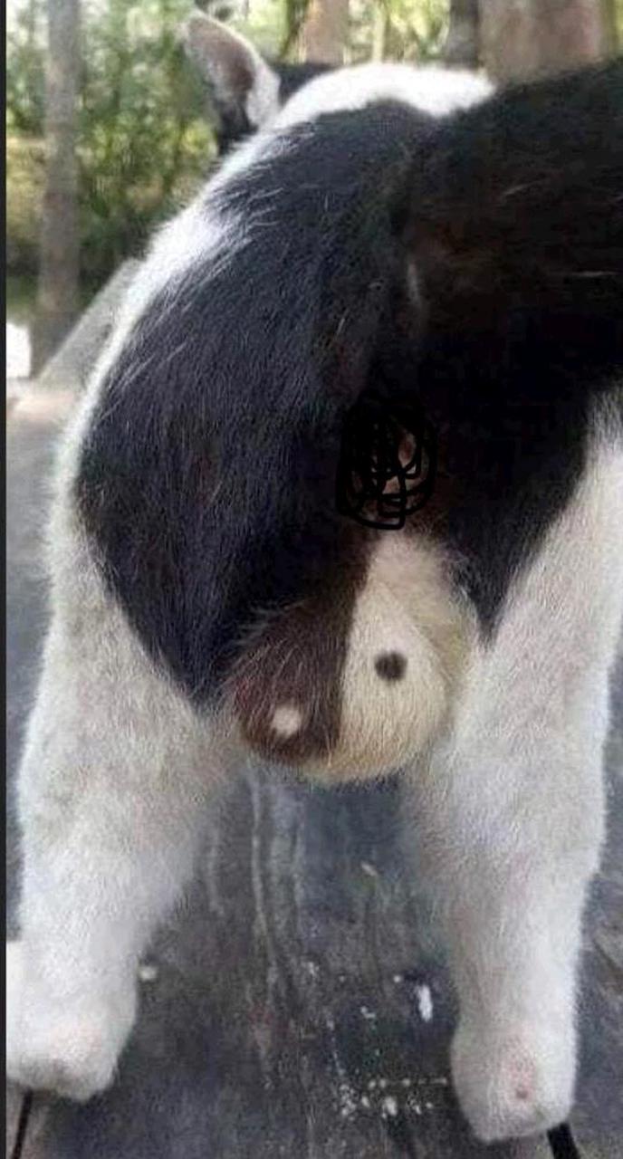 网友:给大家推荐一位太极拳高手!#趣图搞笑#[你懂的]