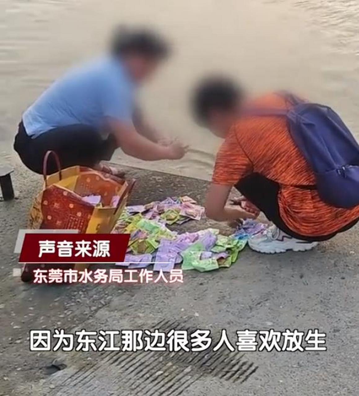 廣東2女子在河邊放生魚豆腐,網友直呼看不懂!