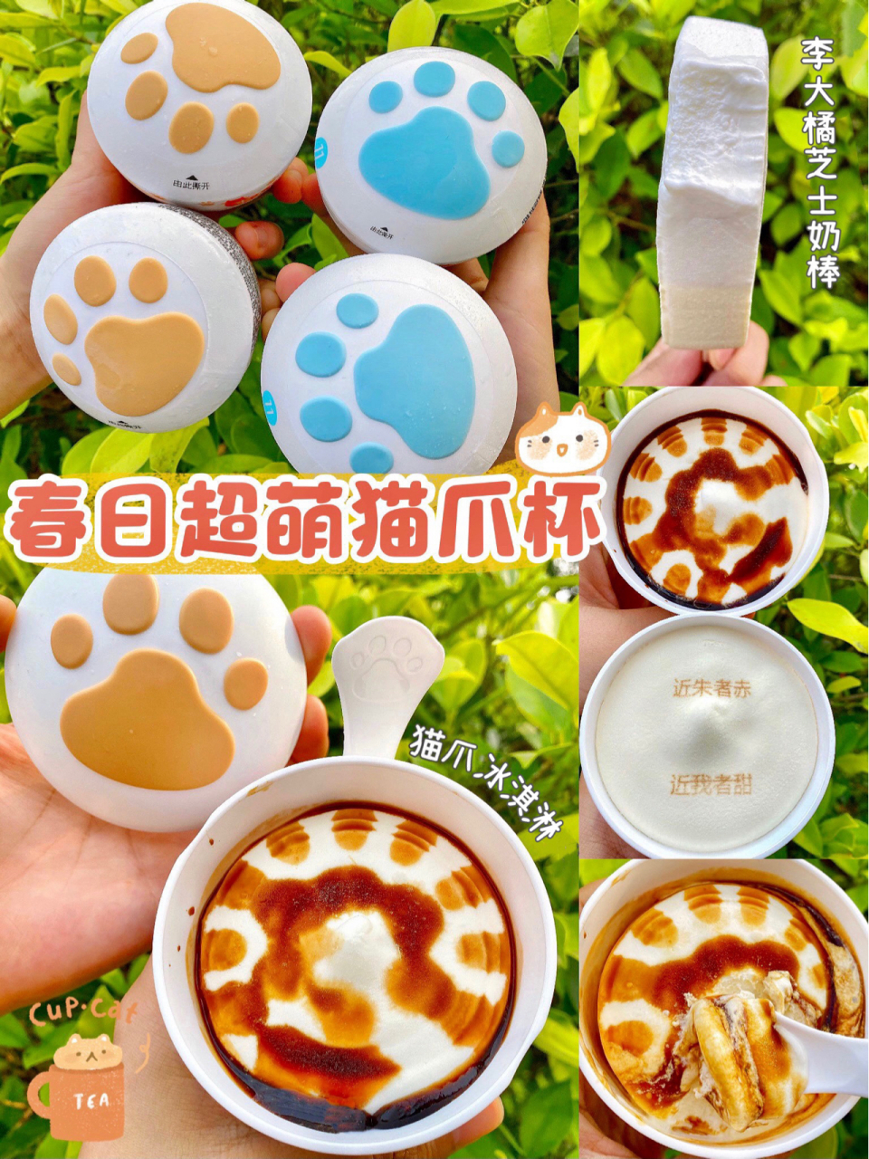 奶味十足的猫爪冰淇凌|萌化你的少女心 —— 广东人民早就已经开始背