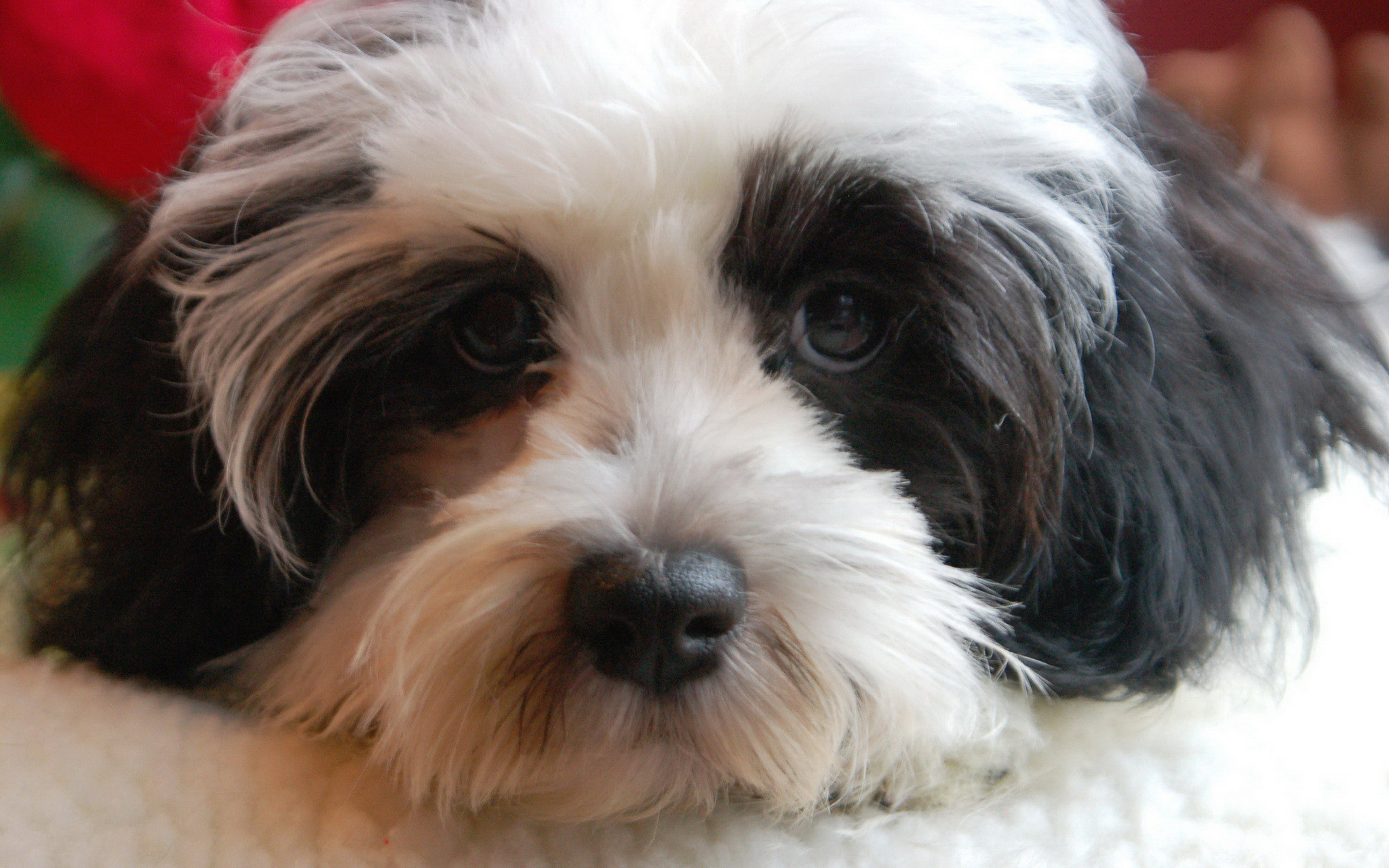 "只见她把钱在手里折了几下一吹,打开就变成了白纸