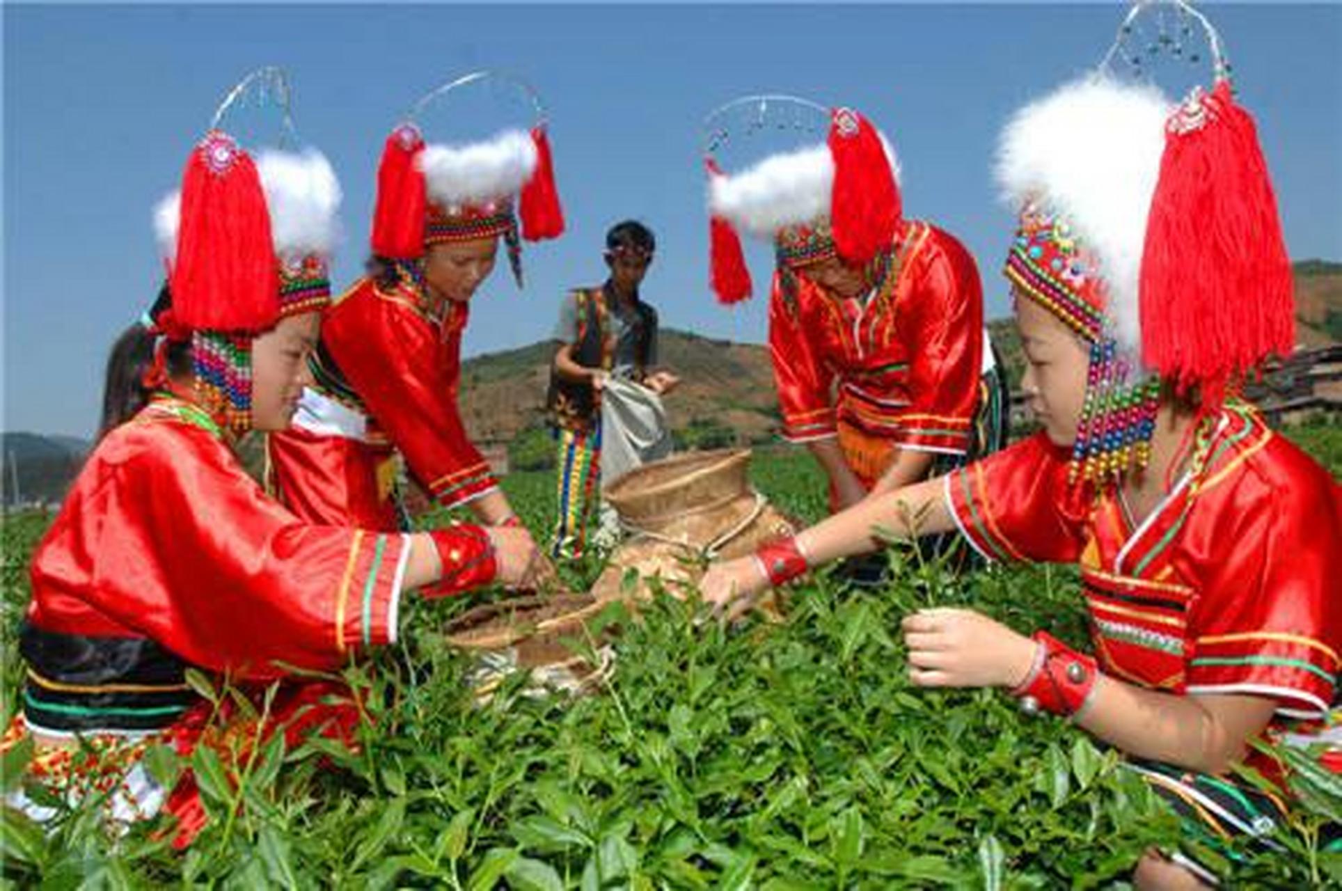 高山族的人们在春节里身着艳丽的民族服装,成群结队欢聚在村边寨头