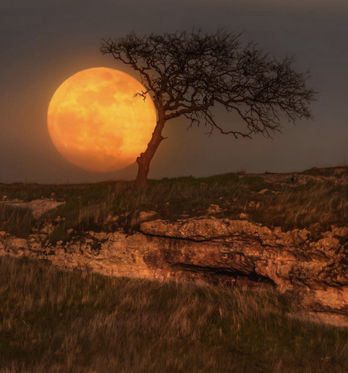 好儿郎,浑身是胆.