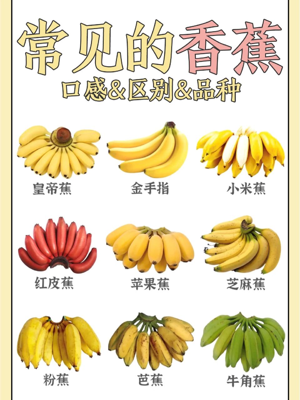 左滑查看常见的香蕉品种