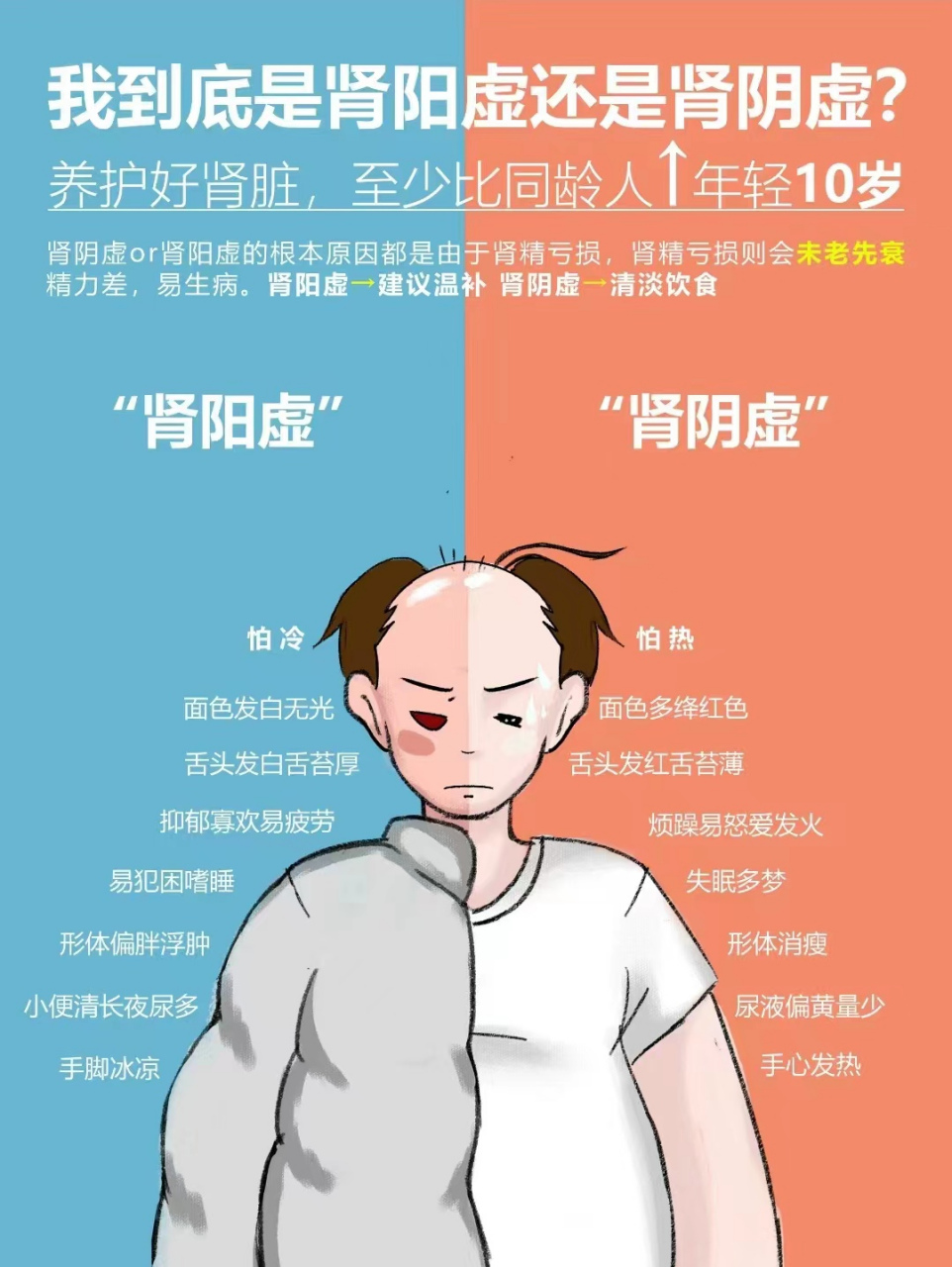 肾阴虚和阳虚怎么区分图片