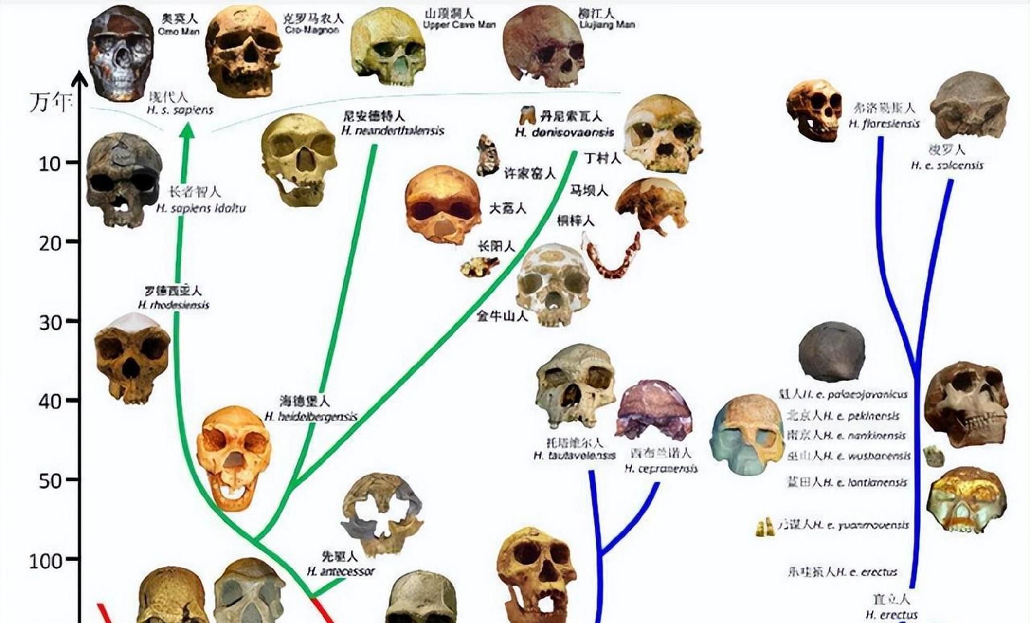 七上地理分辨人种
  第2张 七上地理分辨人种
  第2张