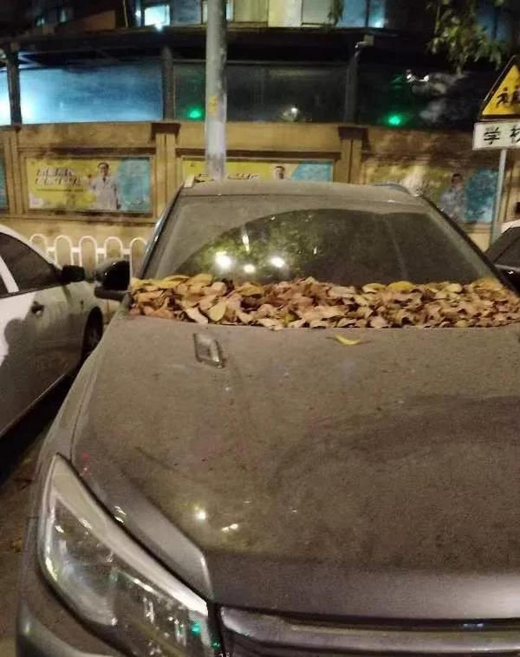 本人由于经济压力,负债累累,为了还债我想把这车卖掉,这车前年的时候