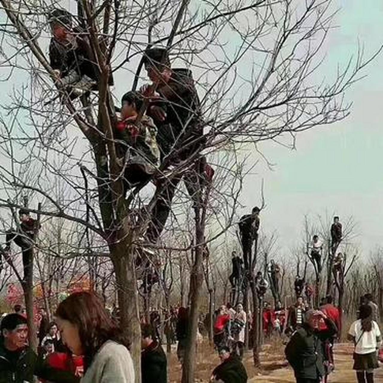 新型返祖大型现场