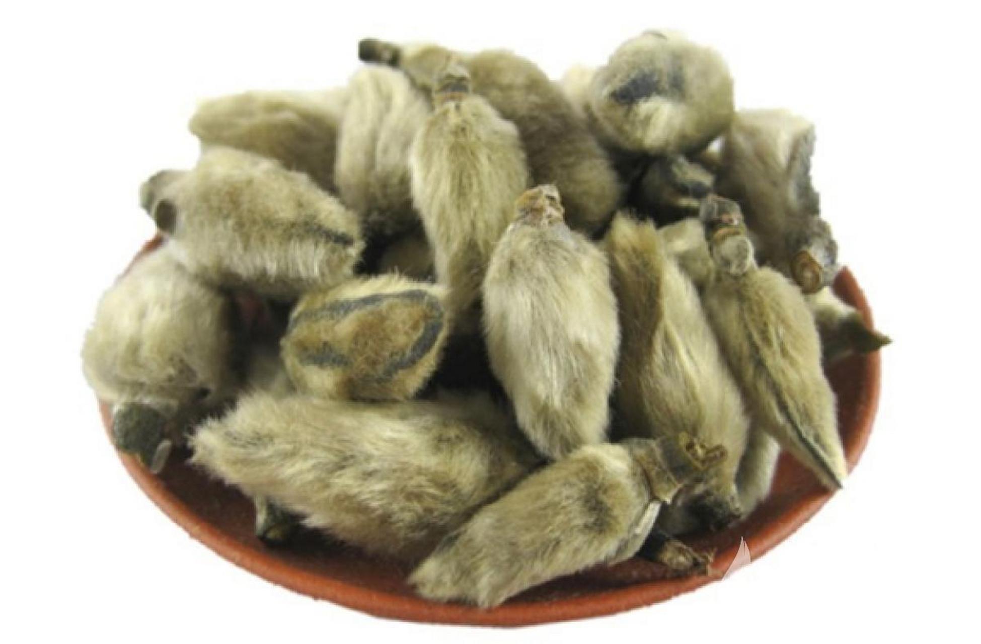 南阳特产——南召辛夷 辛夷系木兰科木兰属,又名望春玉兰,既是名贵的