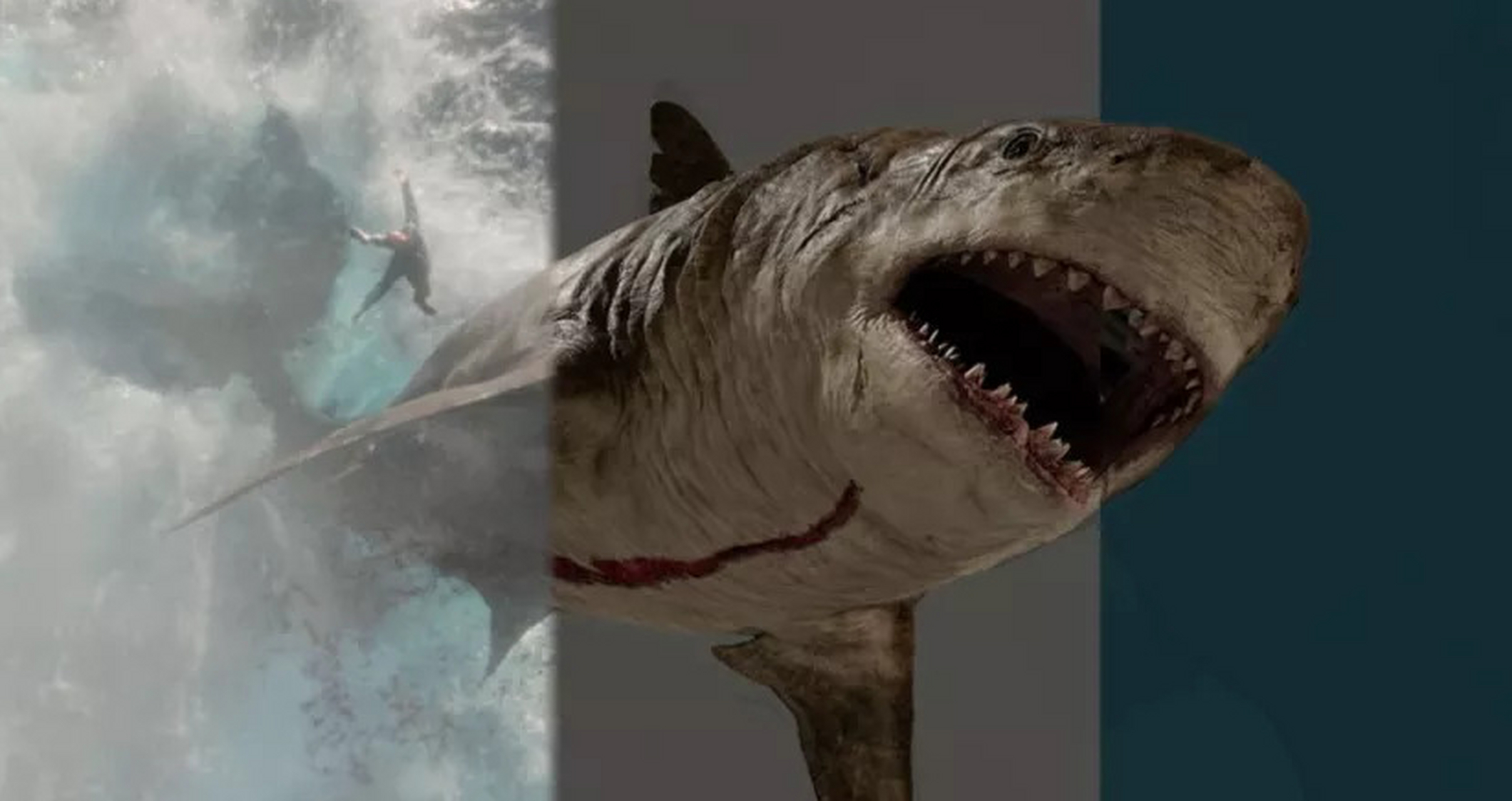 种已经灭绝的史前巨兽,生活在约2000万年前的中新世,是最大的鲨鱼之一