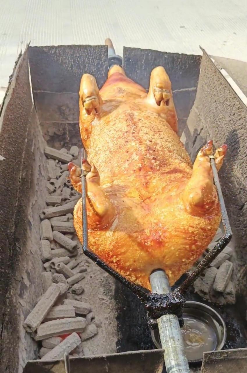 网友:第一次见这样烤整头猪的,我就想知道里面能烤熟吗? #搞笑趣味图