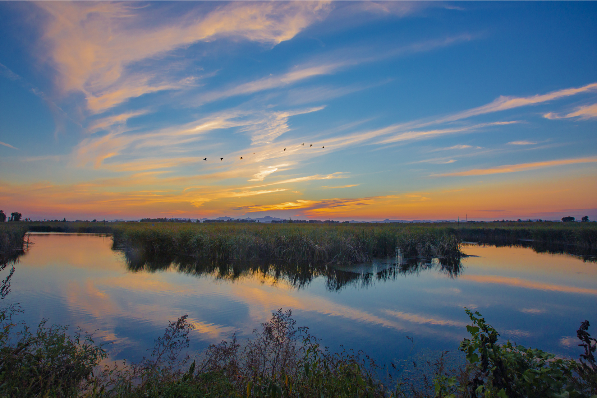 网红打卡地辽宁杠杠滴# 伊吗图湿地[心]#美好辽宁欢迎您