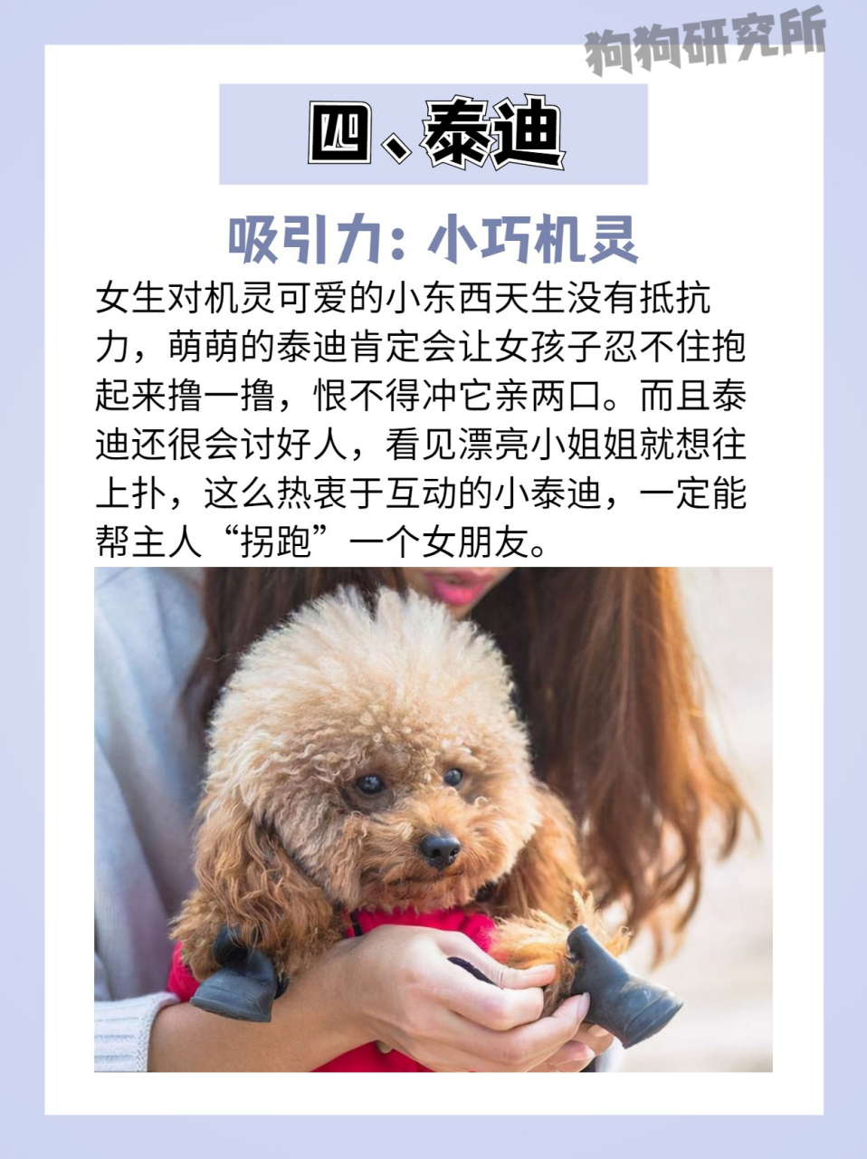 女生叫男生狗的含义_女生叫男生狗子是不是喜欢这个男生 女生叫男生狗的寄义
_女生叫男生狗子是不是喜好
这个男生（女生叫男生狗子意味着什么） 搜狗词汇