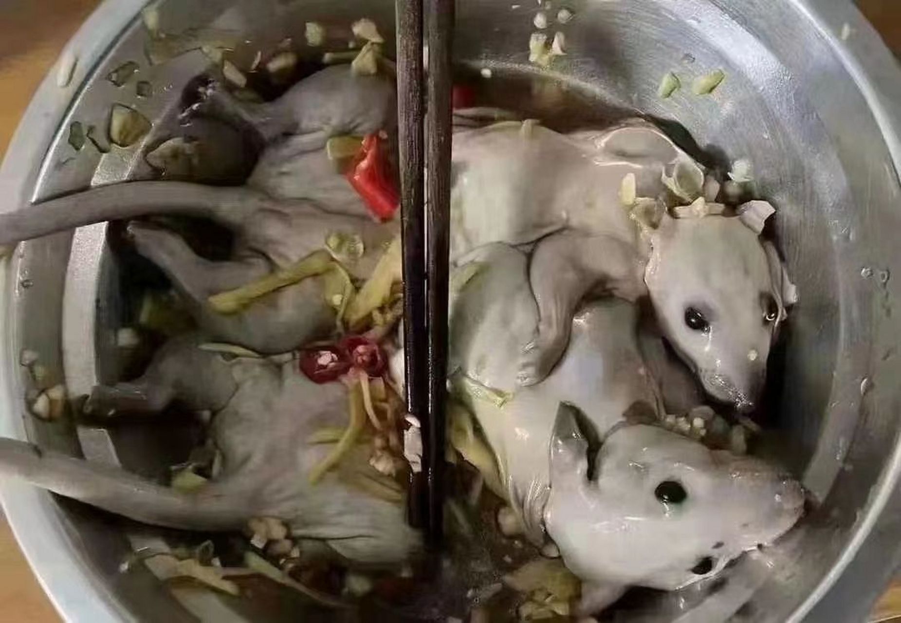 这种该不会真的有人敢吃吧.看到就恶心死了