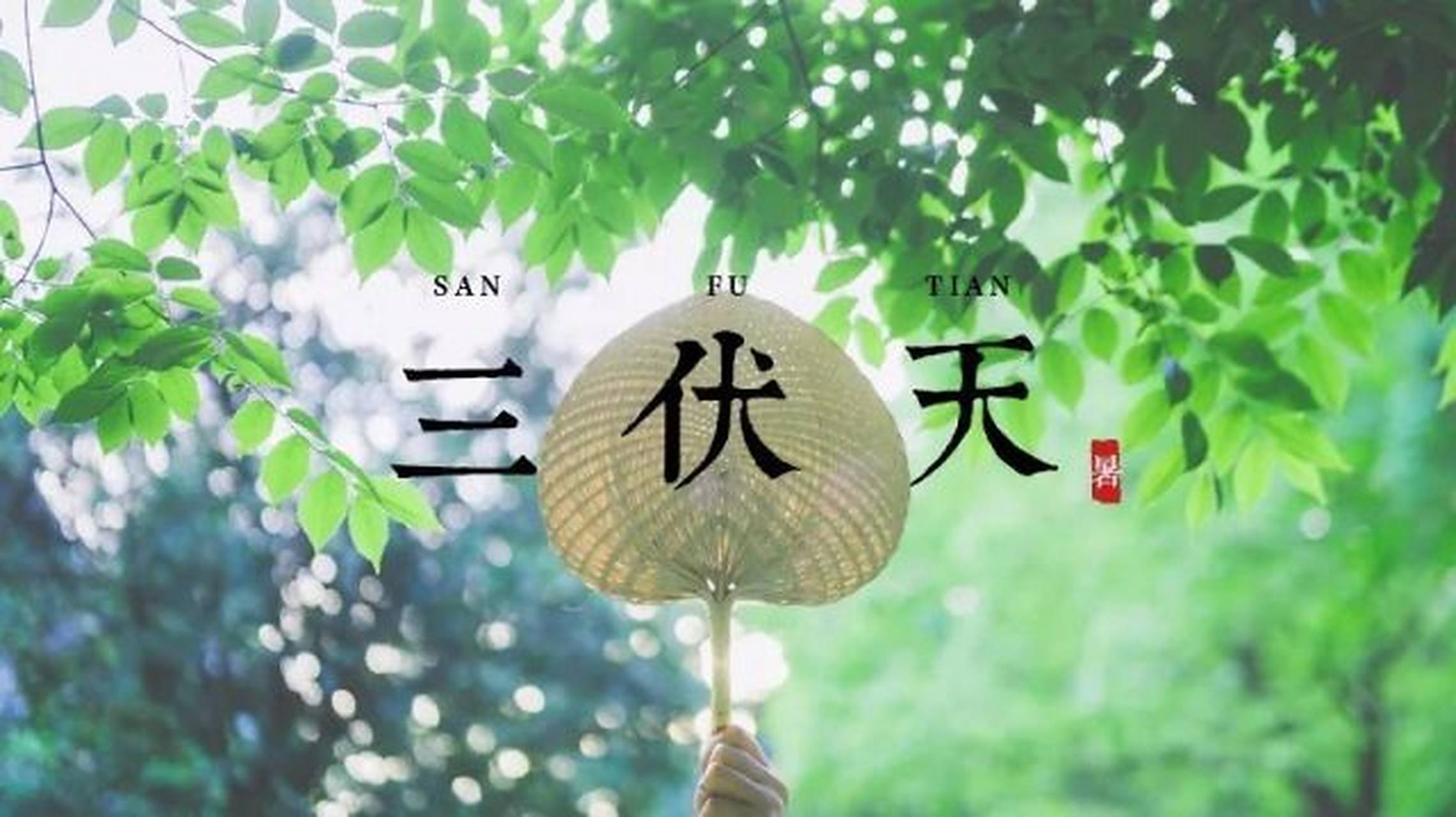 三伏天怎么养肺？