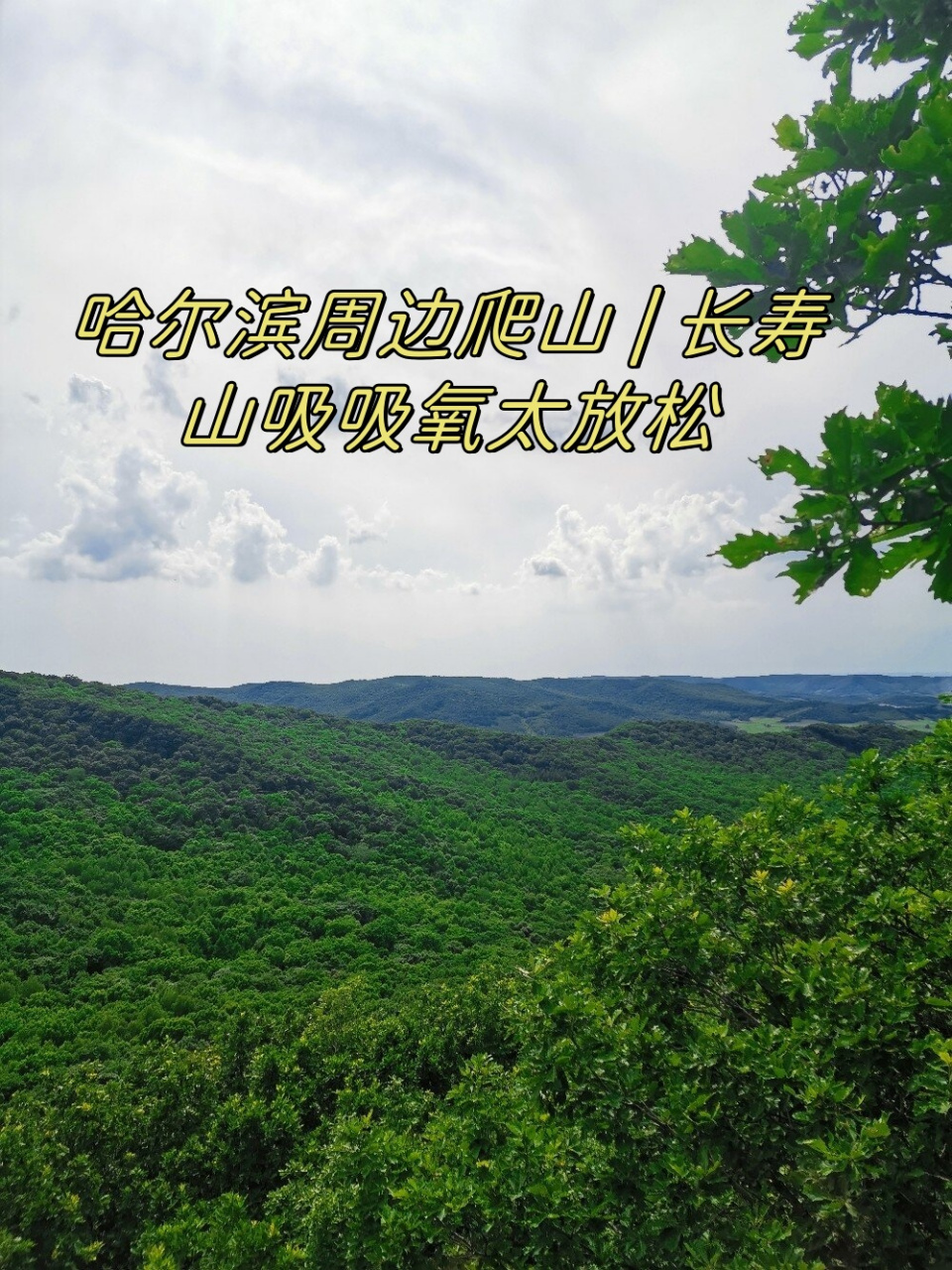 哈尔滨周边爬山 | 长寿山吸吸氧太放松  近期因为工作繁忙,没有太多