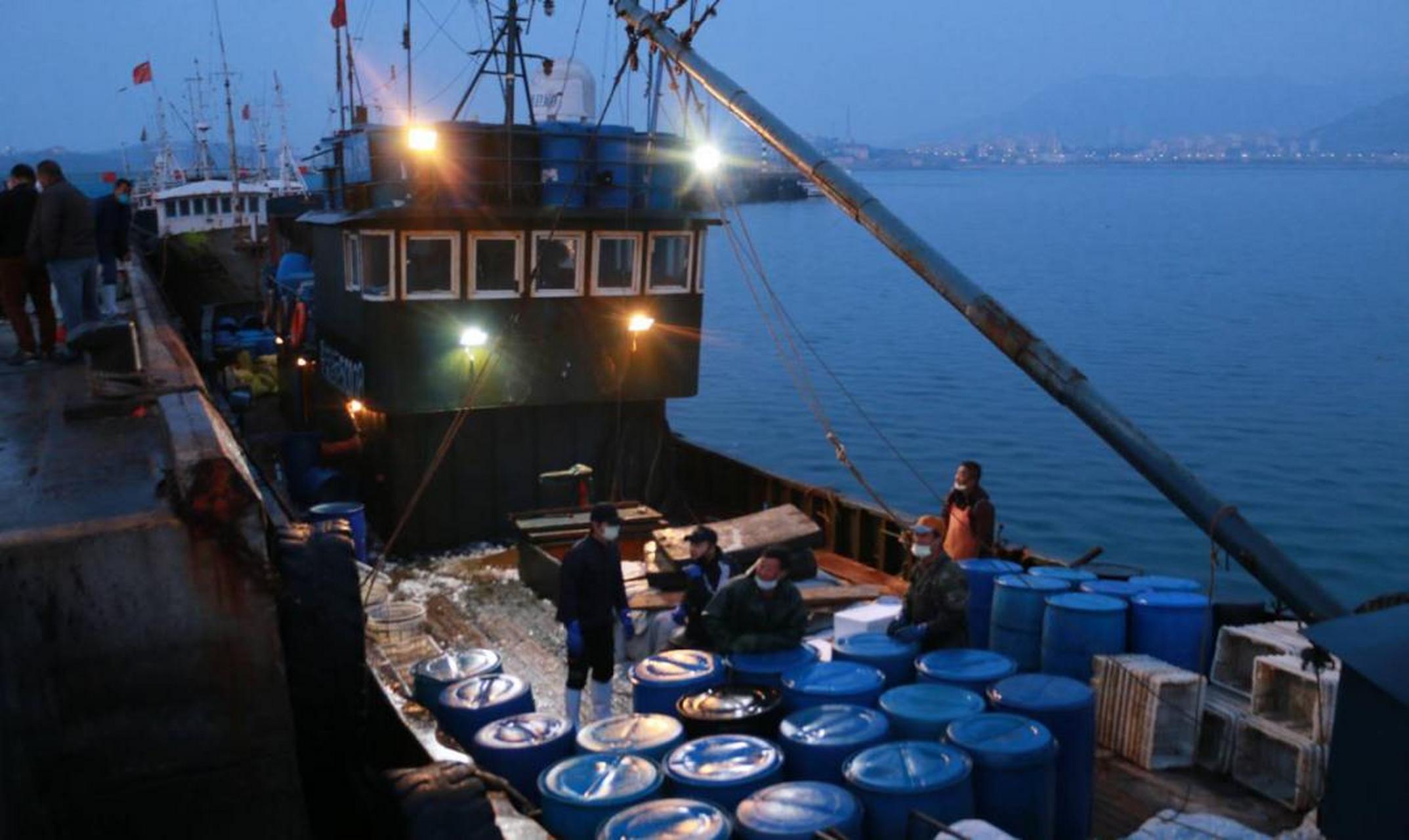 凌晨2:30,青岛崂山区的沙子口国家中心渔港码头,满载春季鲅鱼的渔船