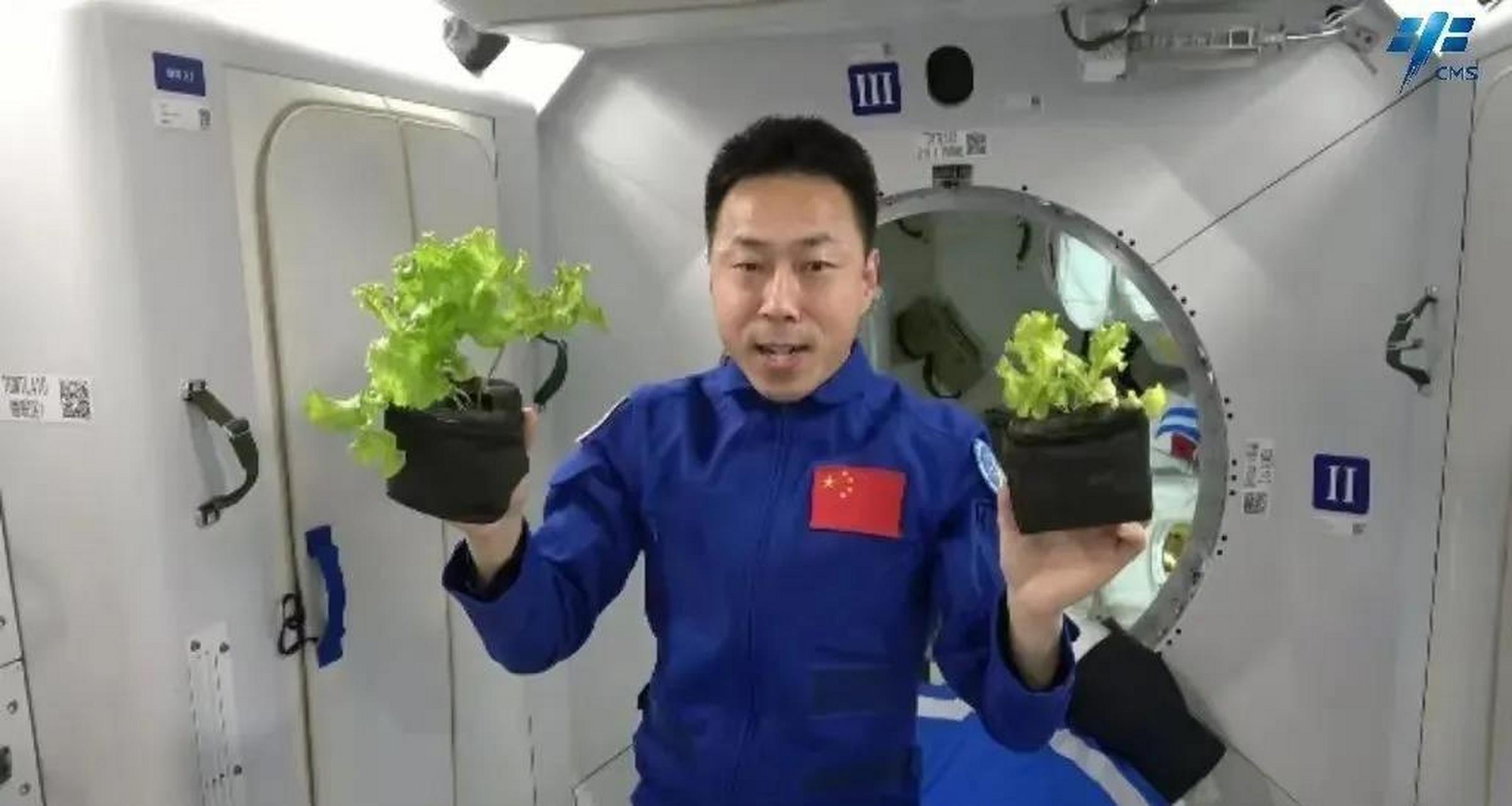 和载人航天一起成长# #中国空间站# 【春种 | "太空种菜"有什么不一