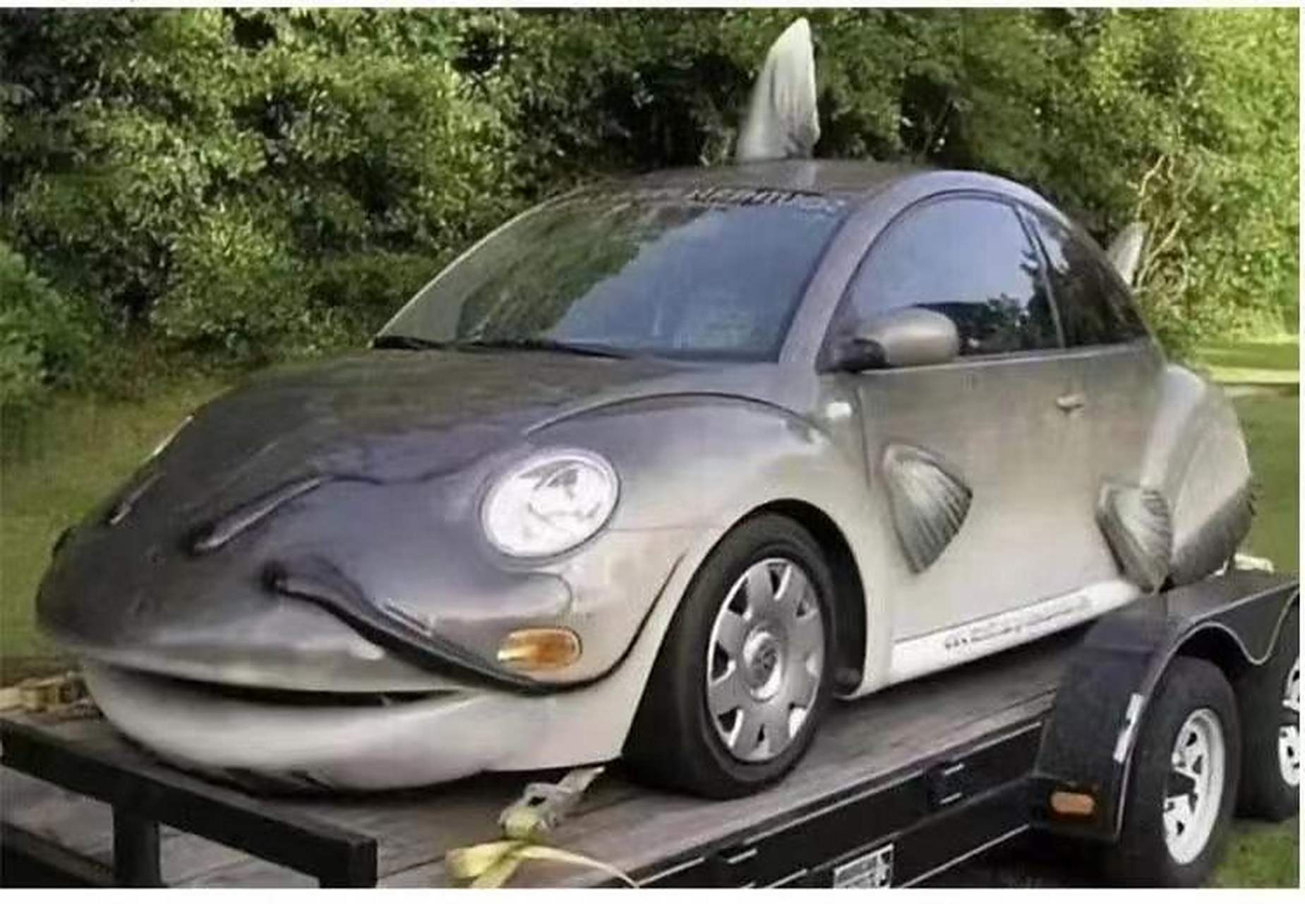 鲶鱼车你见过吗?