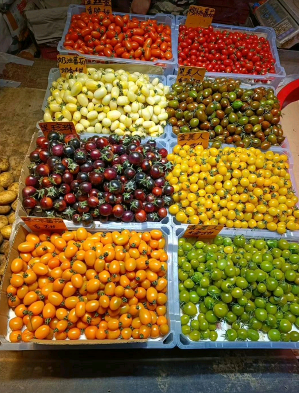原来小番茄有这么多种类