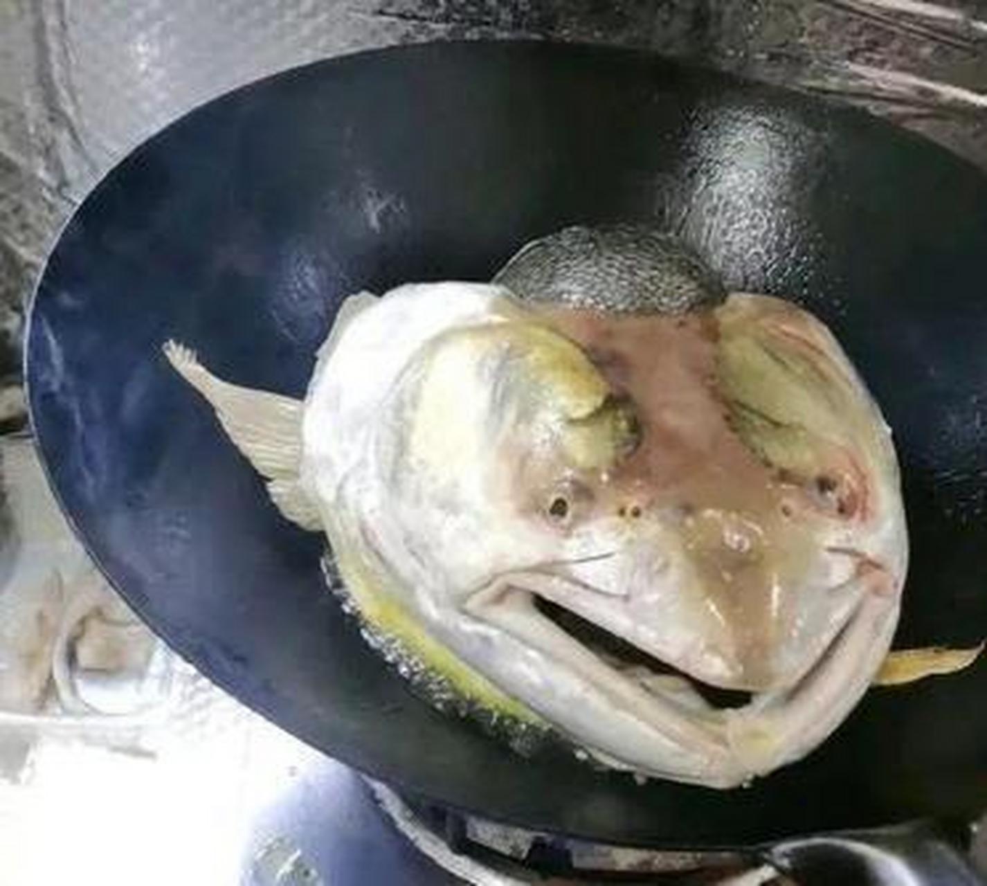 网友:这是鱼头吗,做成剁椒鱼头能喝一斤白酒 #搞笑趣味图