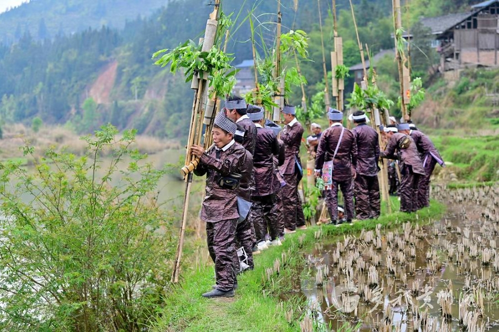 近日,贵州省黔东南州从江县丙妹镇大塘村迎来一年一度的"嘎牙锅",苗族
