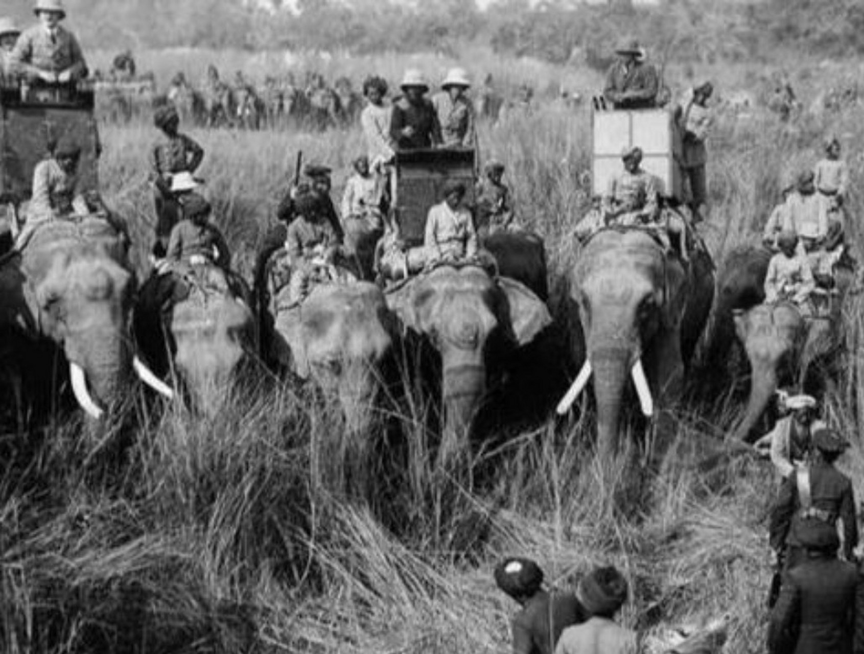 1911年,英国探险家亨利.威尔逊拍摄的湖北宜昌,这个小动物叫水獭.