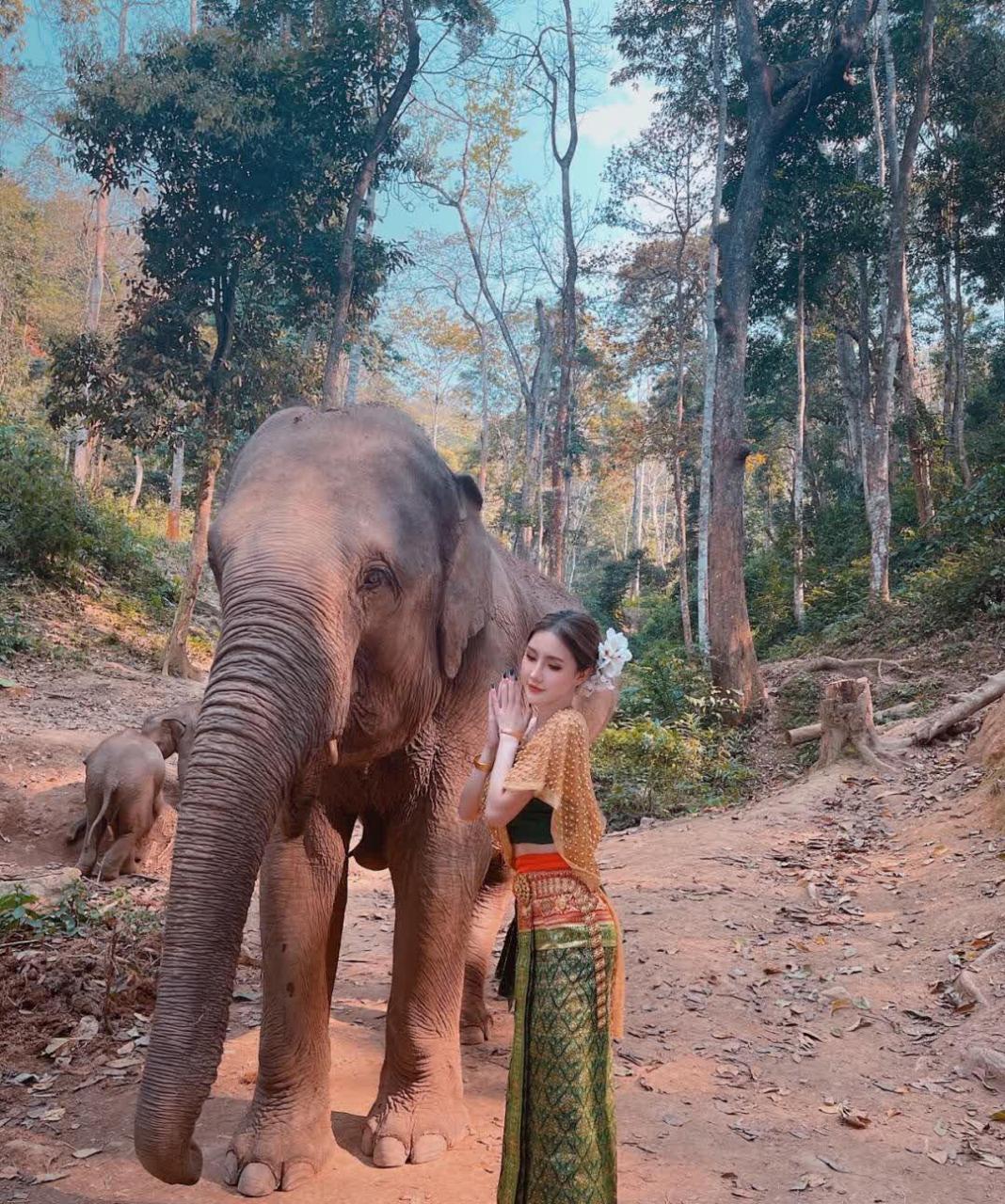 傣族姐姐与大象合拍,气质满分身材火辣,有没有一眼万年